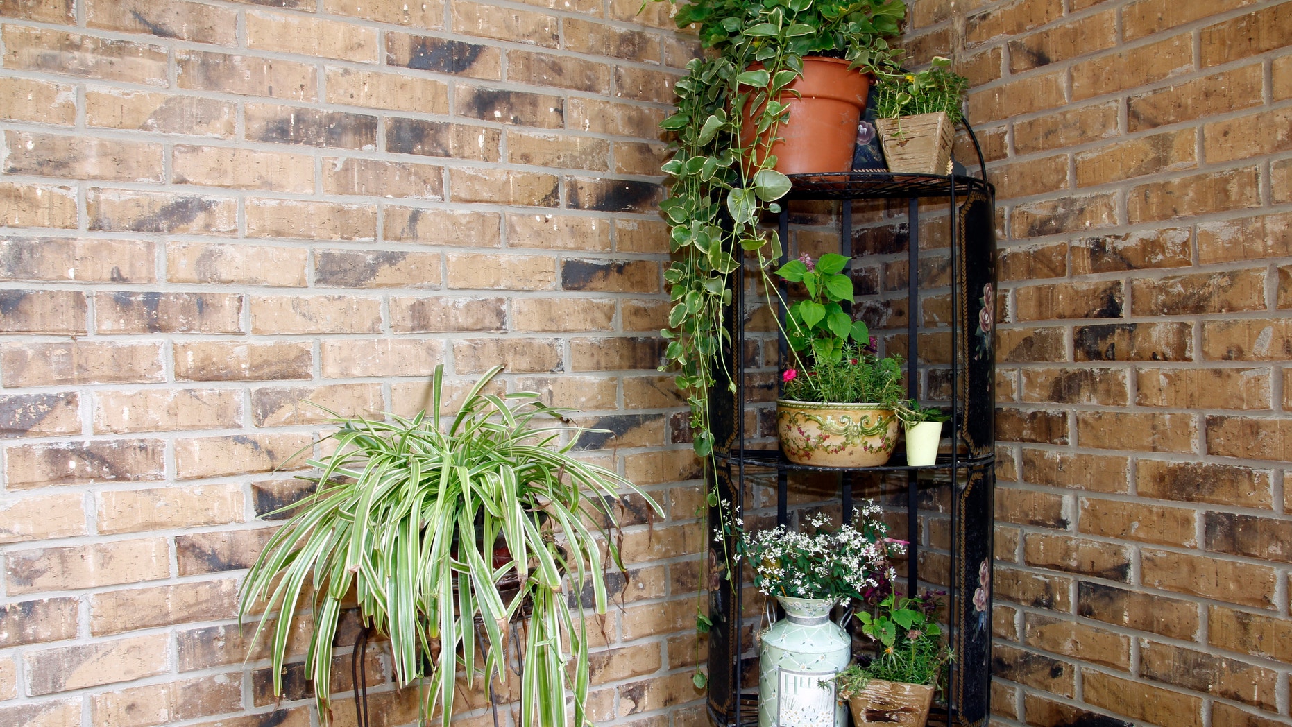 Container garden on a deck