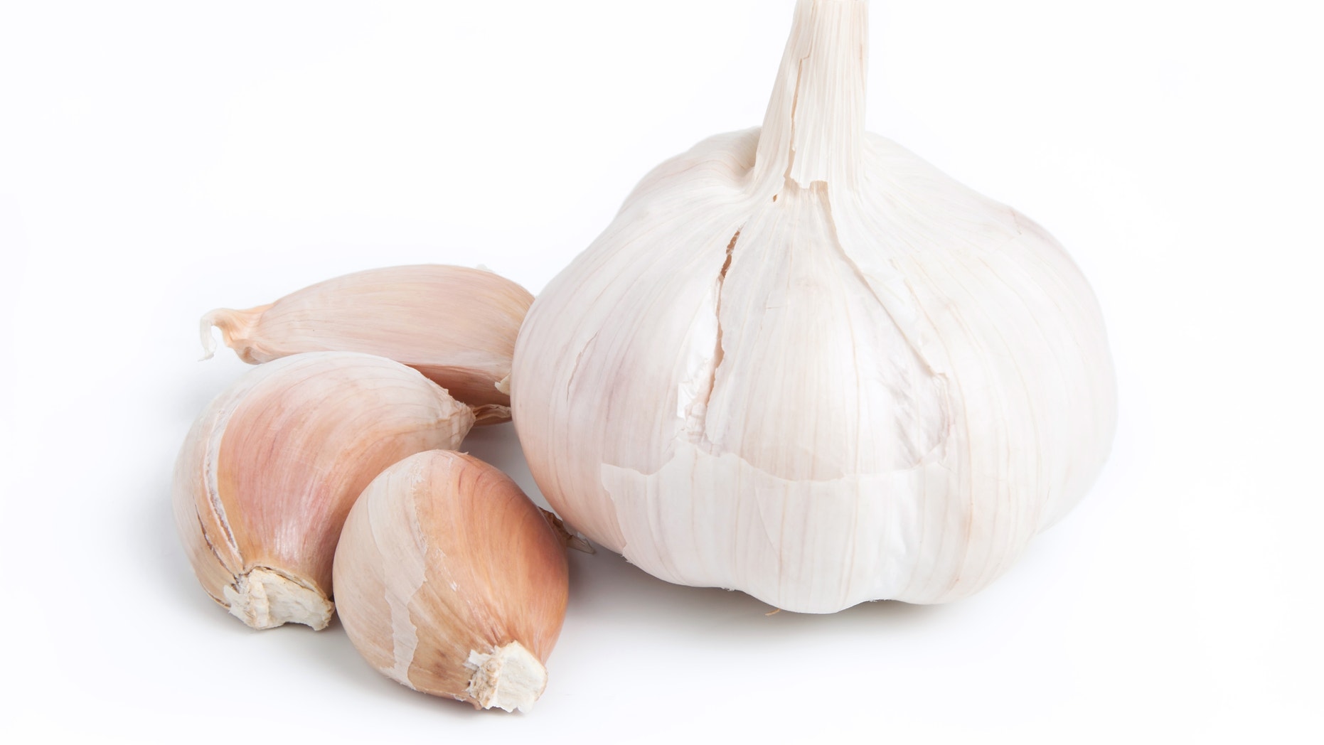 Garlic on white background