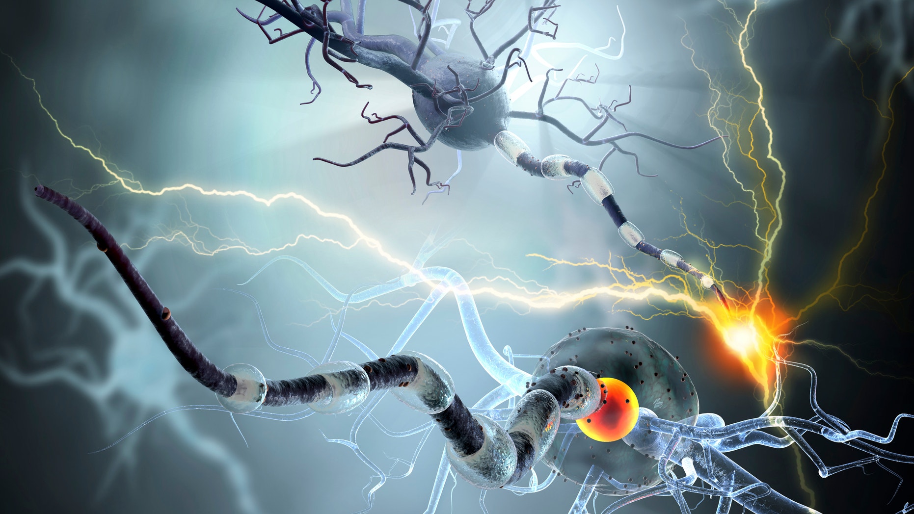 High quality 3d render of nerve cells, concept for Neurologic Diseases, tumors and brain surgery.