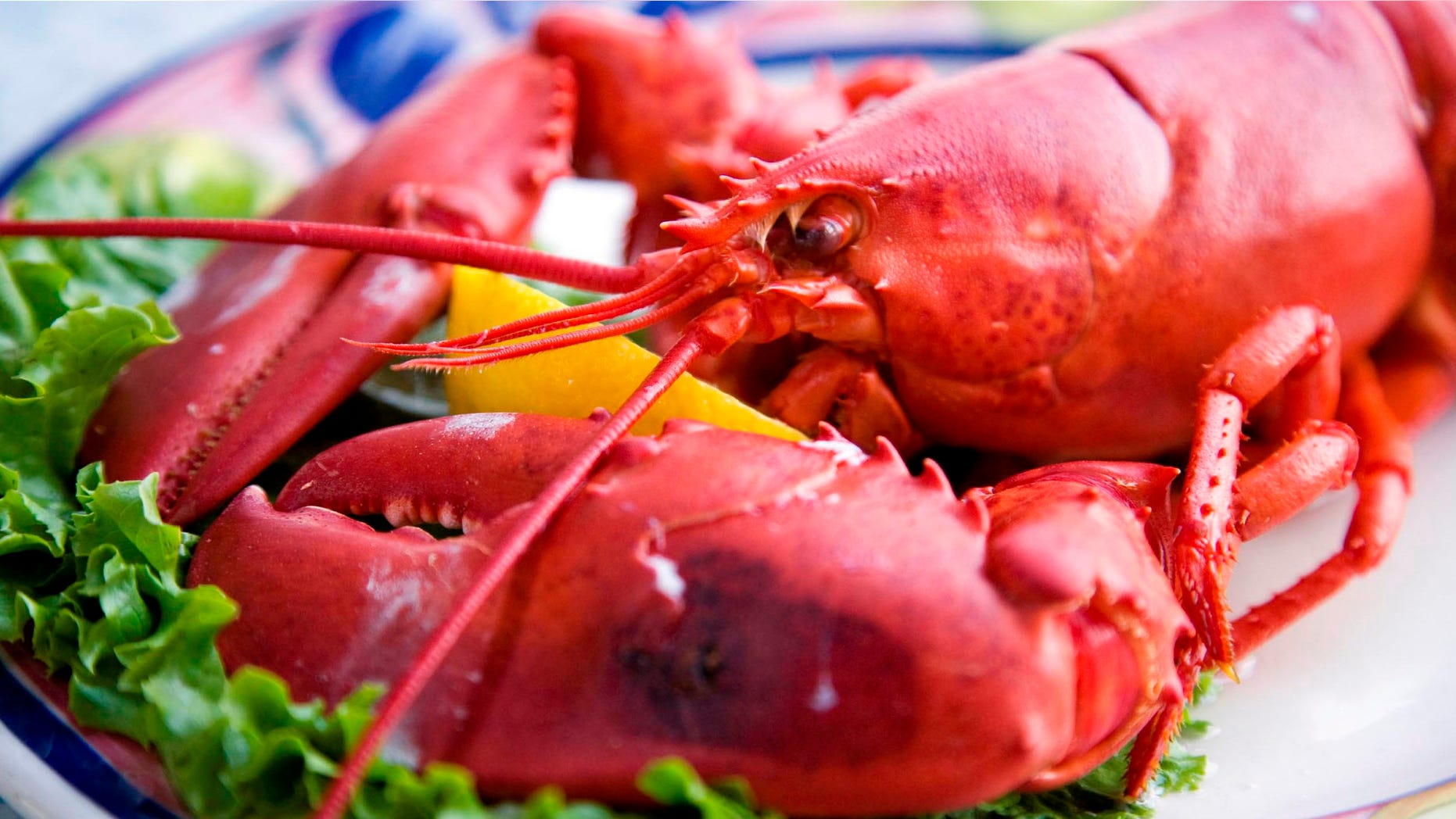 A lobster dinner with a wedge of lemon. Shallow DOF, focus on lobster's head.
