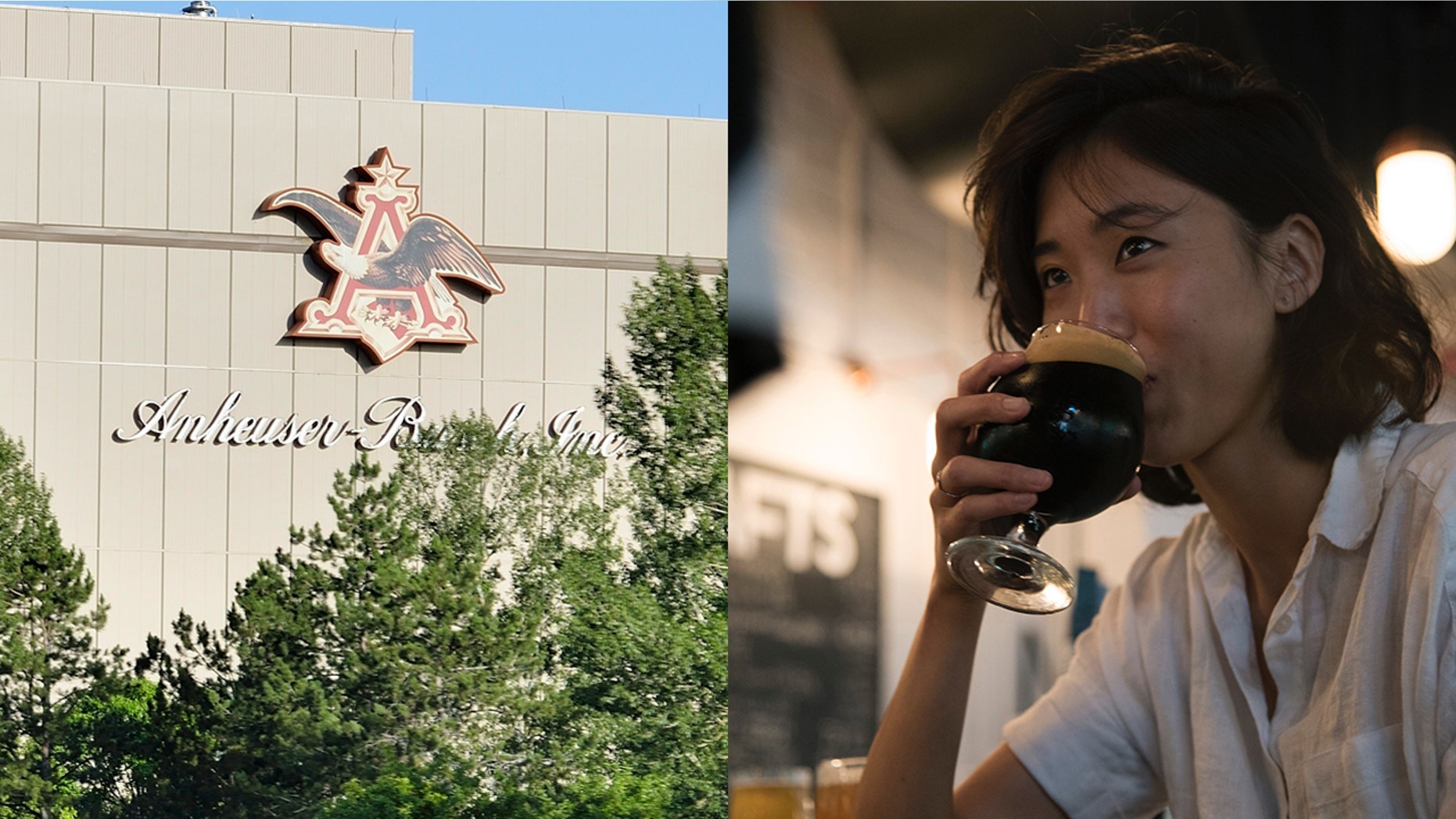 As part of its Elevate initiative, Anheuser-Busch is making available two collections of royalty-free pics that focus on diversity within the beer-drinking community.