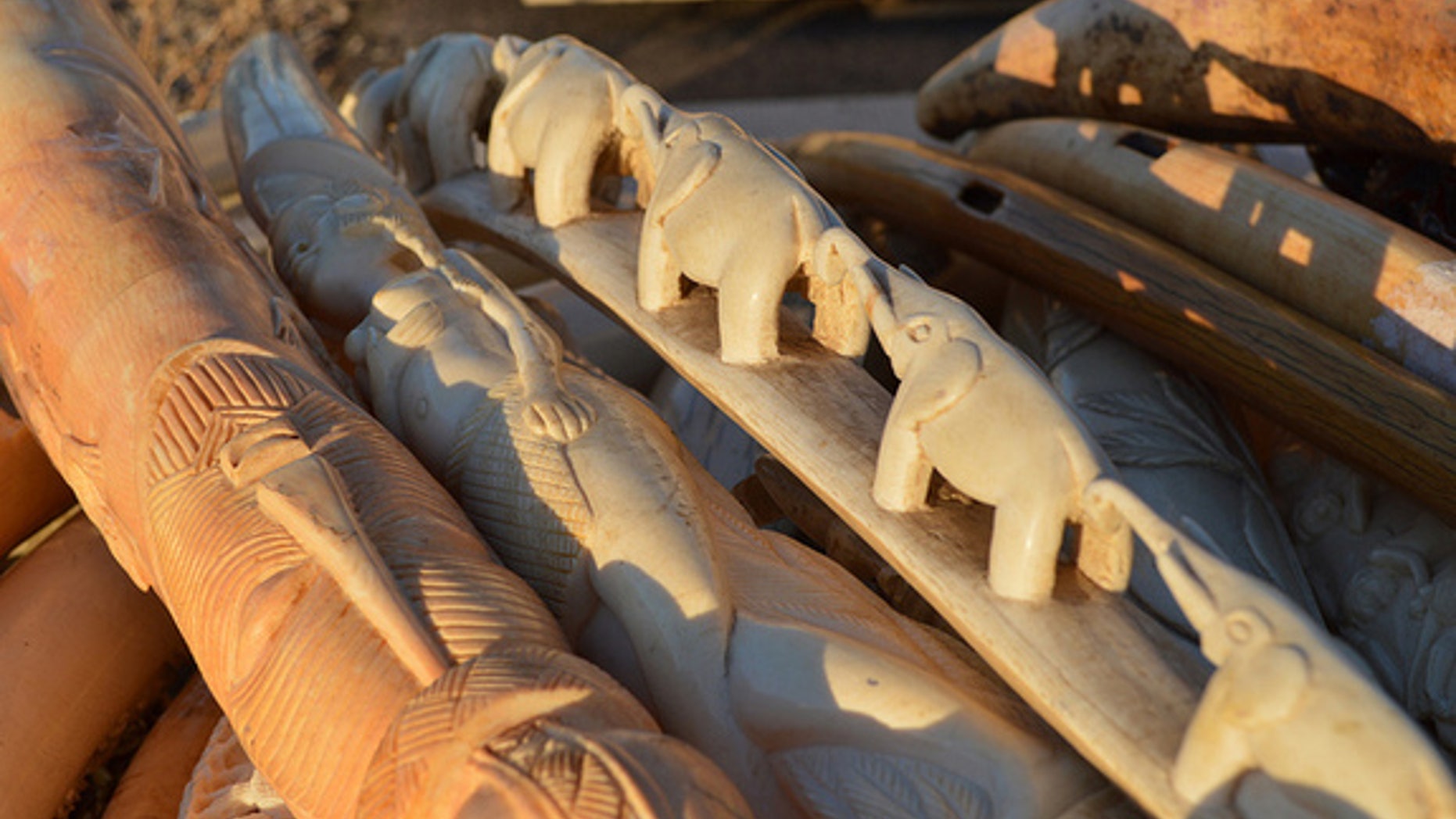 Ivory carvings awaiting destruction on the morning of Nov. 14, 2013.