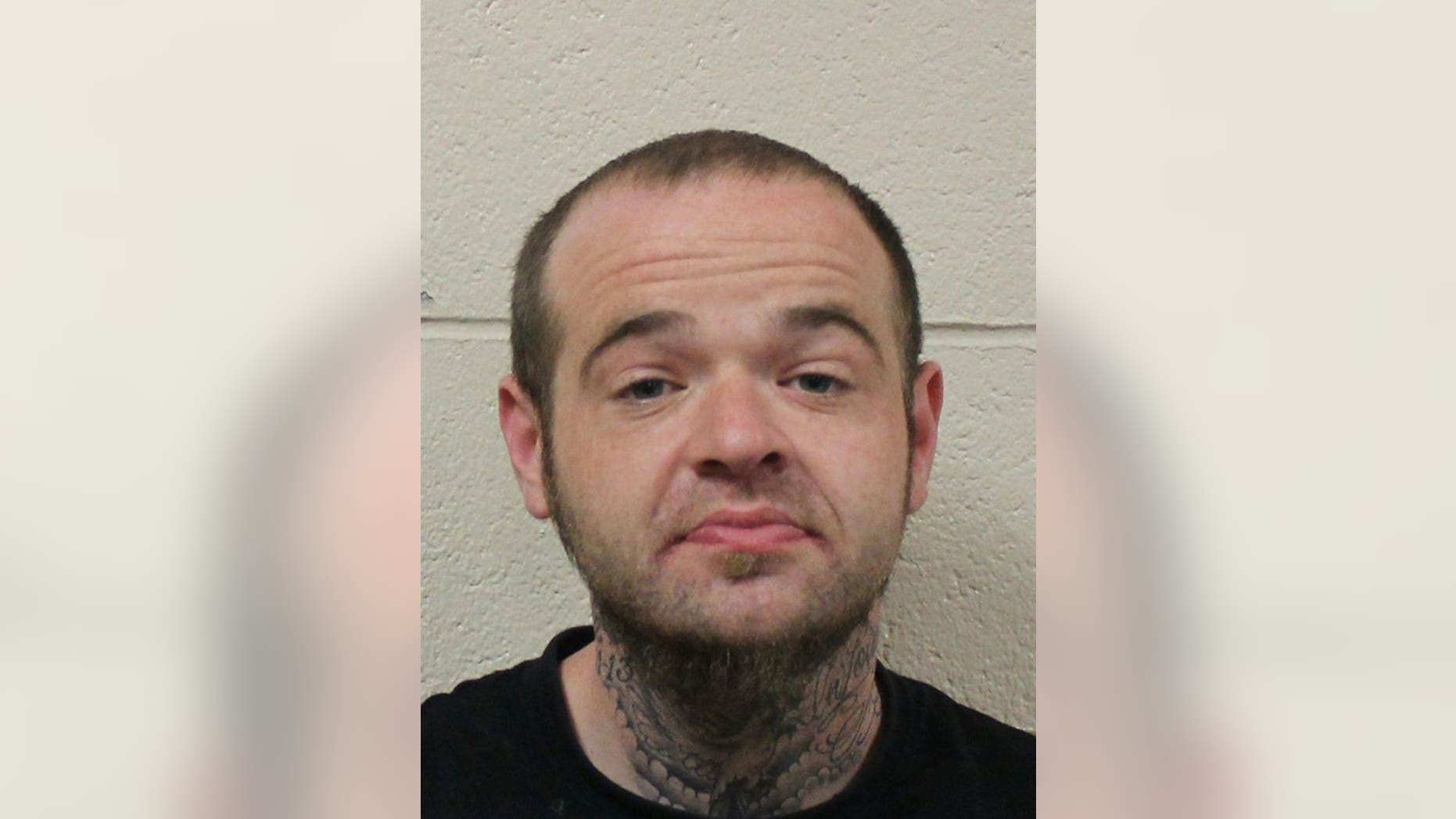 Authorities in Maryland say Jamie Ruark, 32, was arrested for burglarizing cars early Monday after he caught the attention of an angry cat.