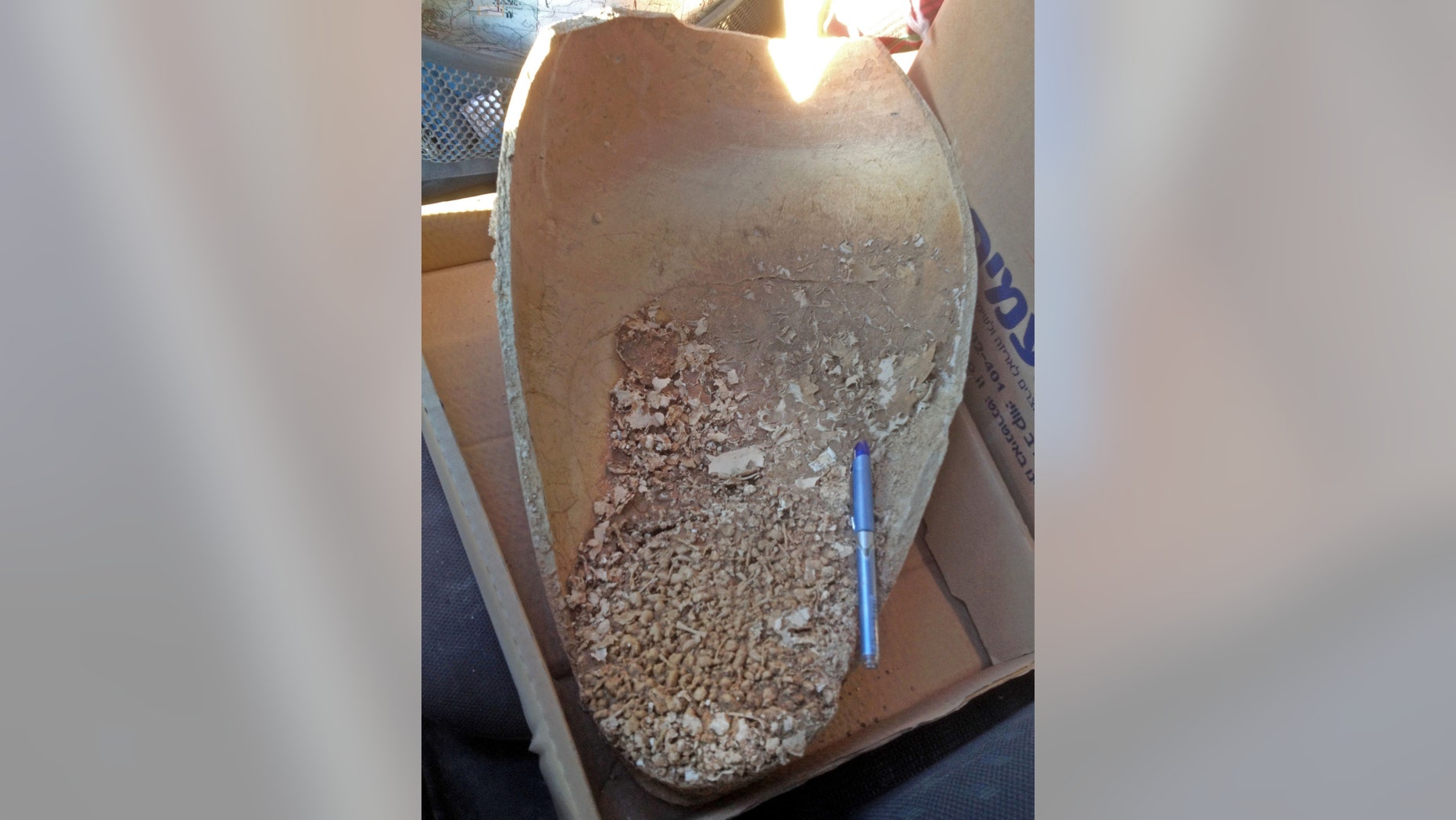 Jar with remains of the toads. (Photo: Zohar Turgeman-Yaffe, Israel Antiquities Authority)
