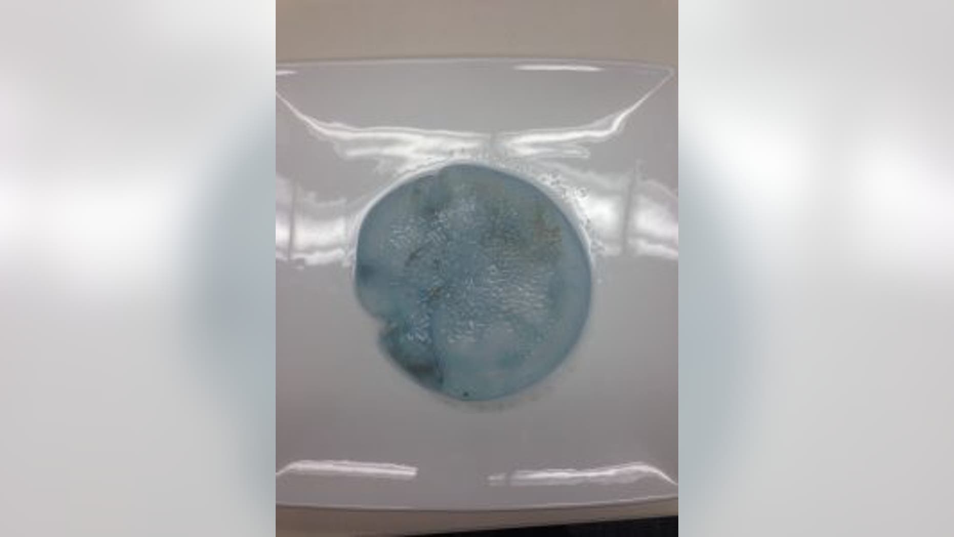 The object presented to police at Maroochydore Station (Sunshine Coast Police).