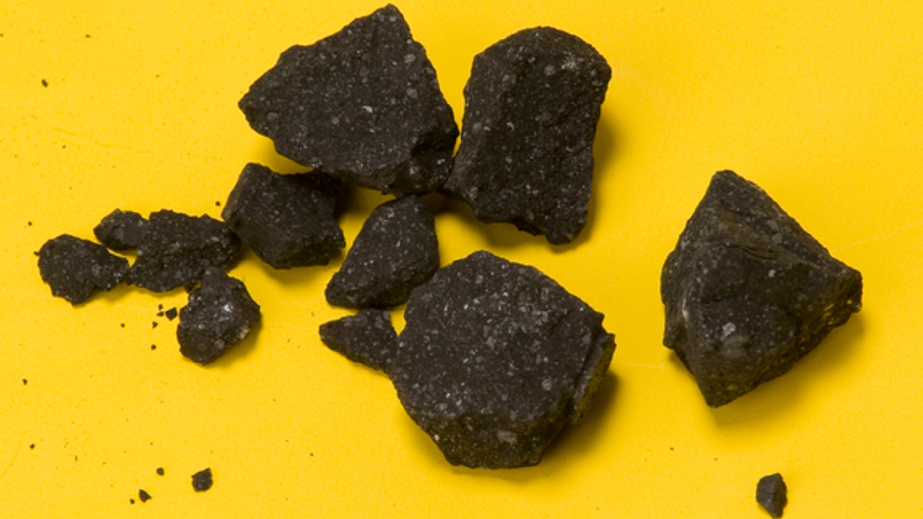 A handful of Sutter's Hill meteorite fragments collected April 24, 2012, two days after the fall. Two months later, the scientists reported having 77 meteorite fragments.