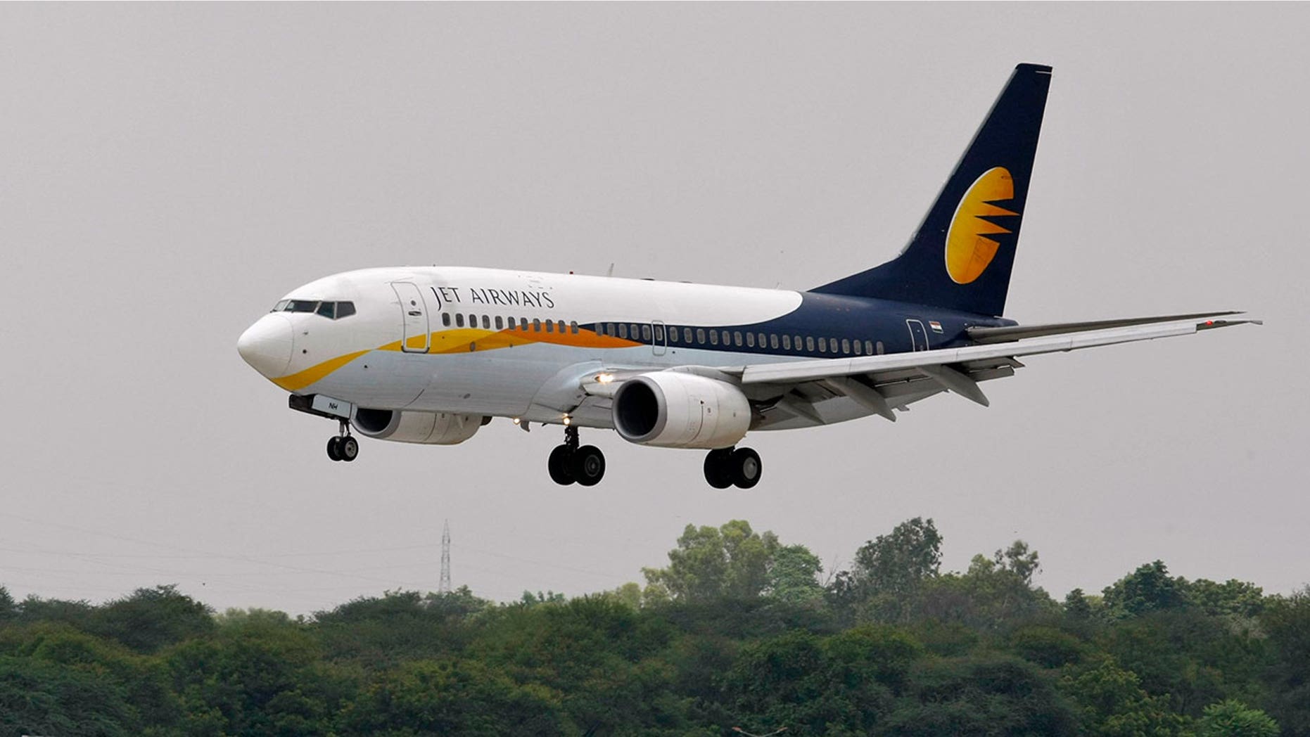 The two senior commanders allegedly got into a fight aboard a Jet Airways flight from London to Mumbai on New Year's Day.