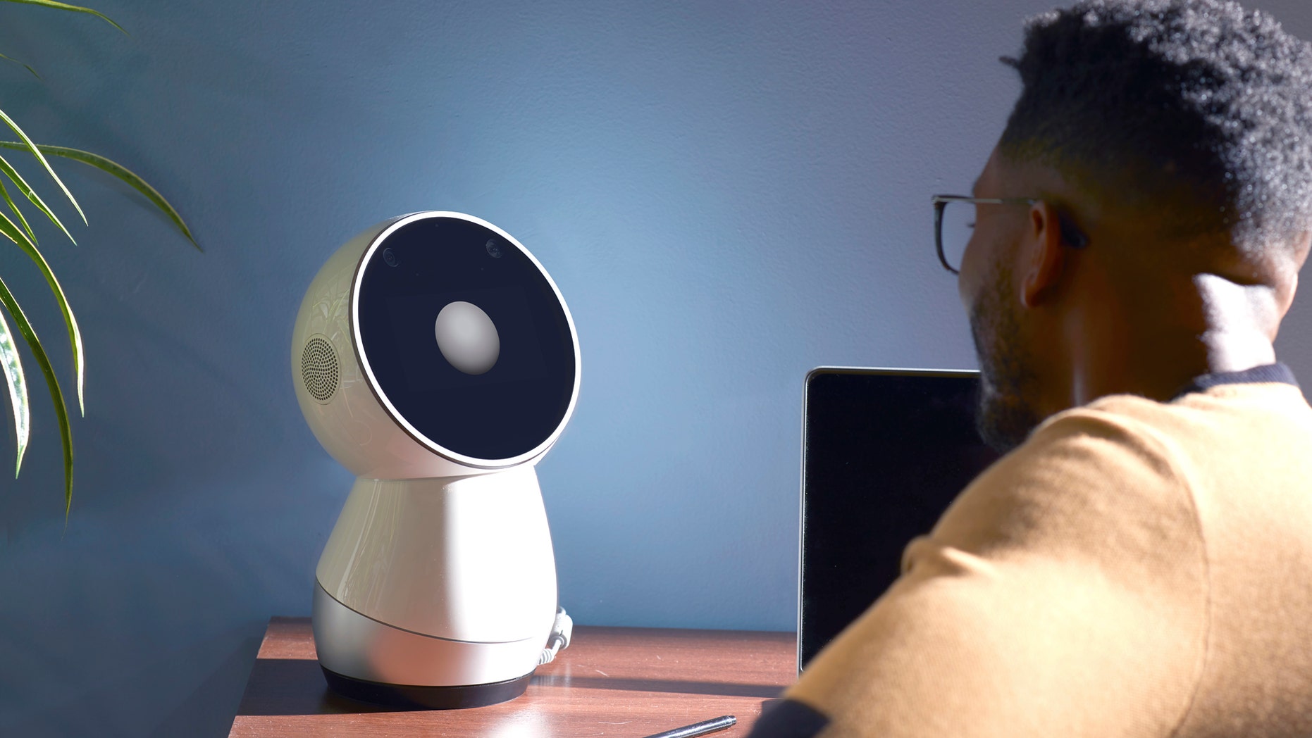 Jibo robot (Jibo)