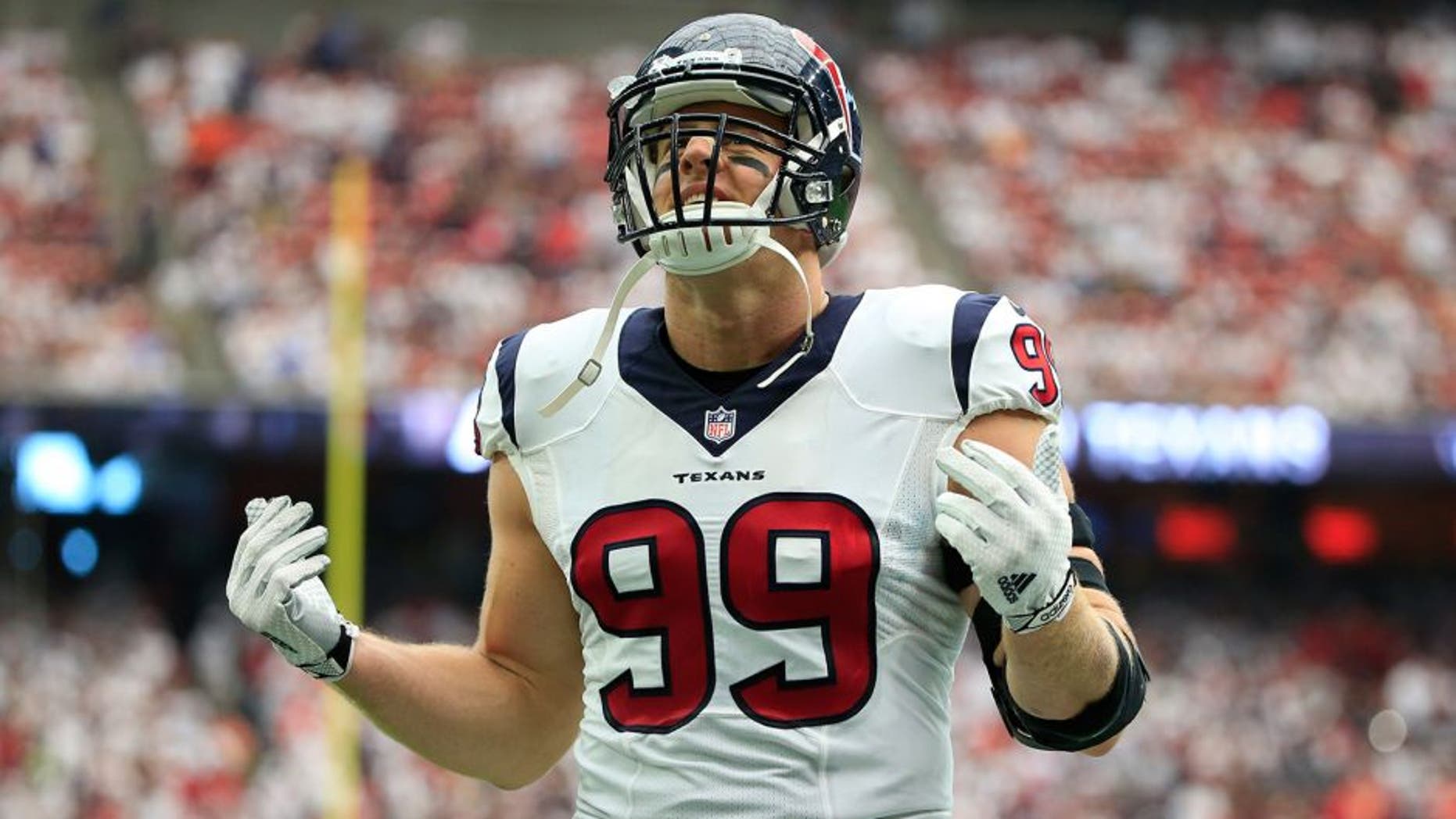 Sep 13, 2015; Houston, TX, USA; Houston Texans defensive end J.J. Watt (99) before the game against the Kansas City Chiefs at NRG Stadium. Mandatory Credit: Kevin Jairaj-USA TODAY Sports
