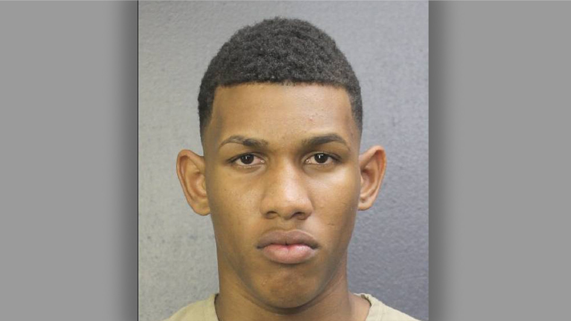 Johansen Concepcion De La Ros shot and killed an 8-month-old puppy from his balcony on Saturday, according to police.