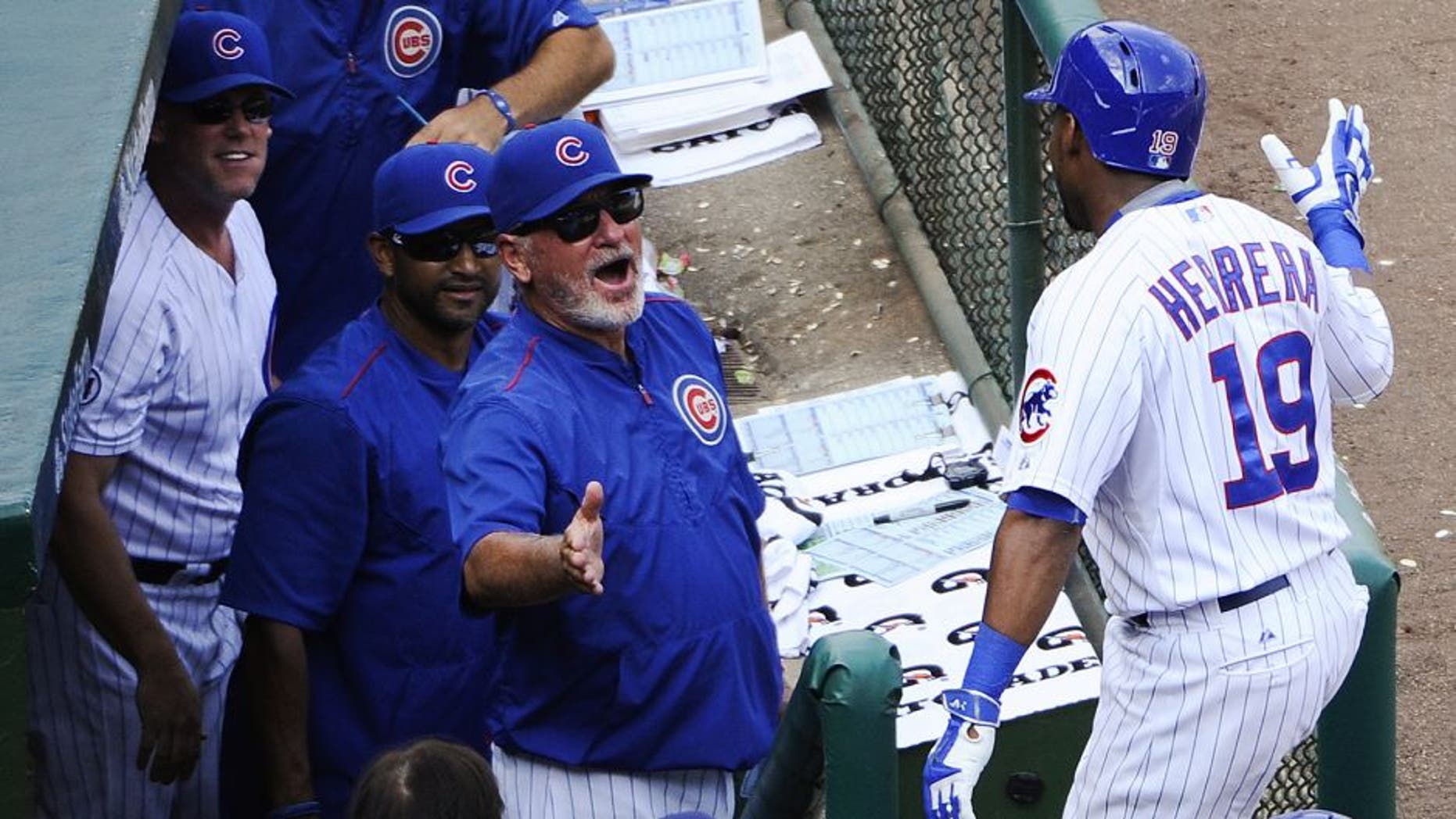 Chicago Cubs manager Joe Maddon, center, celebrates with Jonathan Herrera (19) after he hit a home run against the Arizona Diamondbacks in the sixth inning of a baseball game on Sunday, Sept. 6, 2015, in Chicago. (AP Photo/Matt Marton)