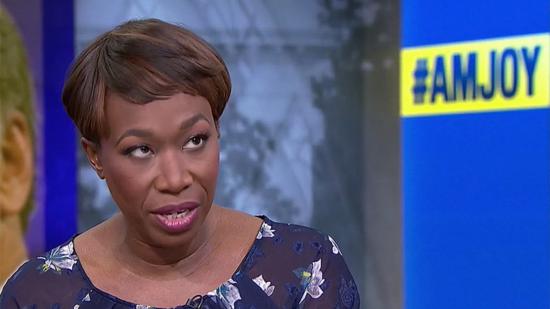 Joy Reid admitted it is unlikely homophobic remarks were planted on her old blog by a hacker.