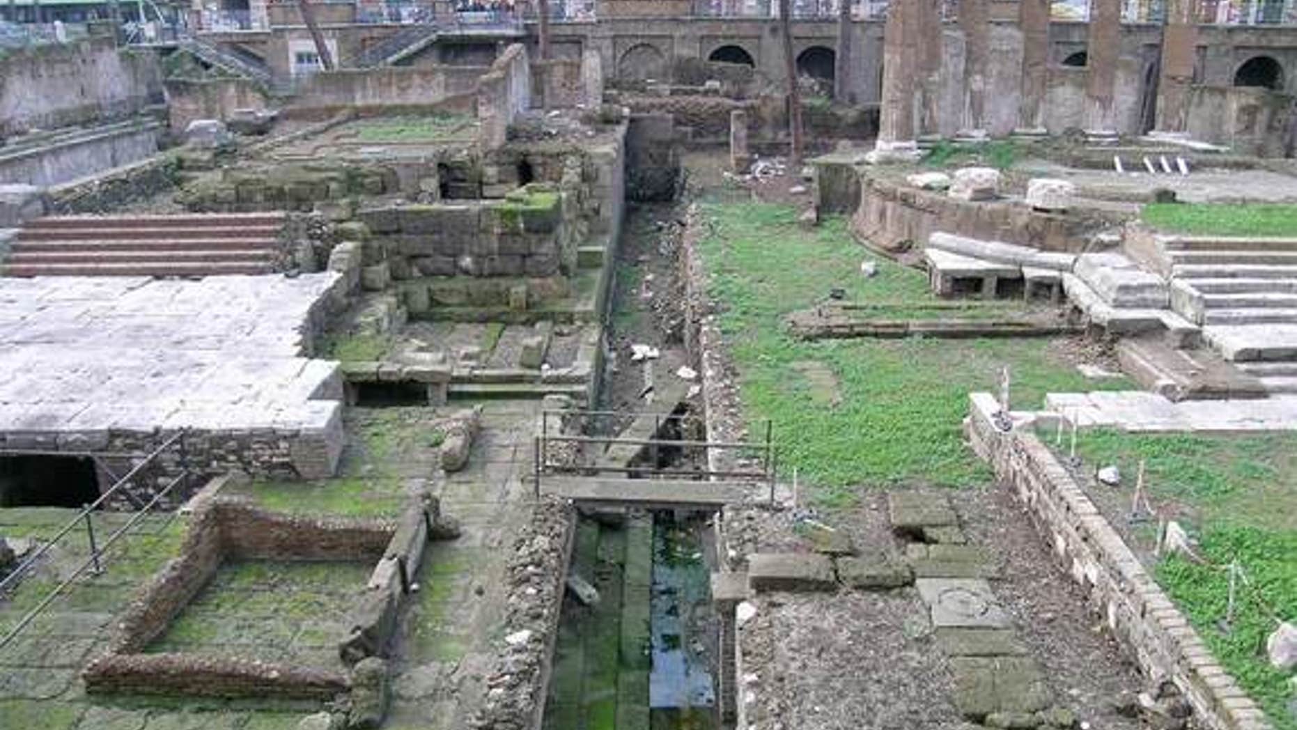 This is the monumental complex in Torre Argentina (Rome), where Julius Caesar was stabbed.