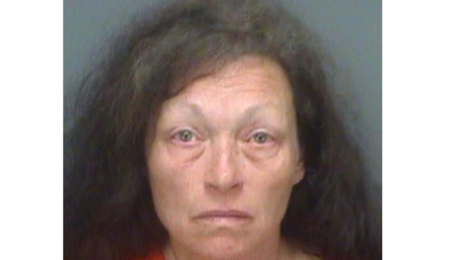 Kathleen Steele's booking photo. (Pinellas County Sheriff's Office)