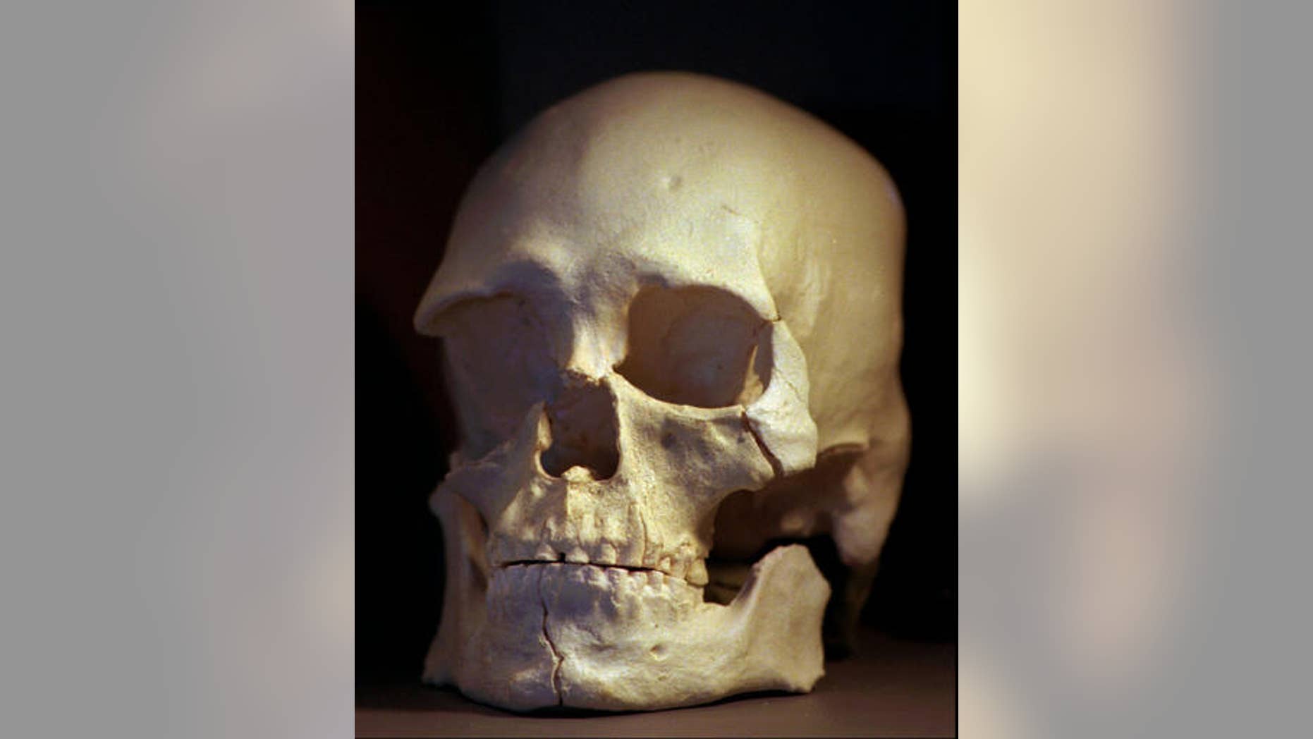 File photo: This July 24,1997 photo a plastic casting of the skull from the bones known as Kennewick Man, is shown in in Richland, Wash. (AP Photo/Elaine Thompson)