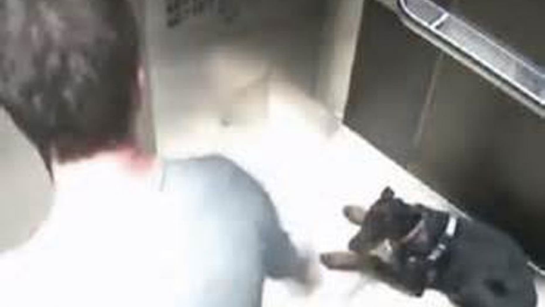 Centerplate CEO Desmond Hague was caught on video kicking a puppy.