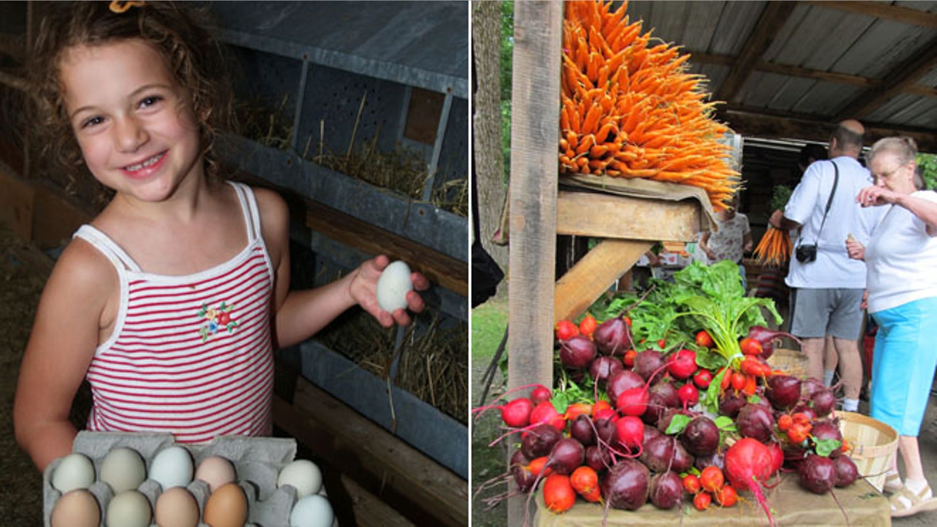 A girl collects eggs at Valley Farms, while customers look at the bounty of vegetables at the farmer’s market in Brattleboro, Vt.