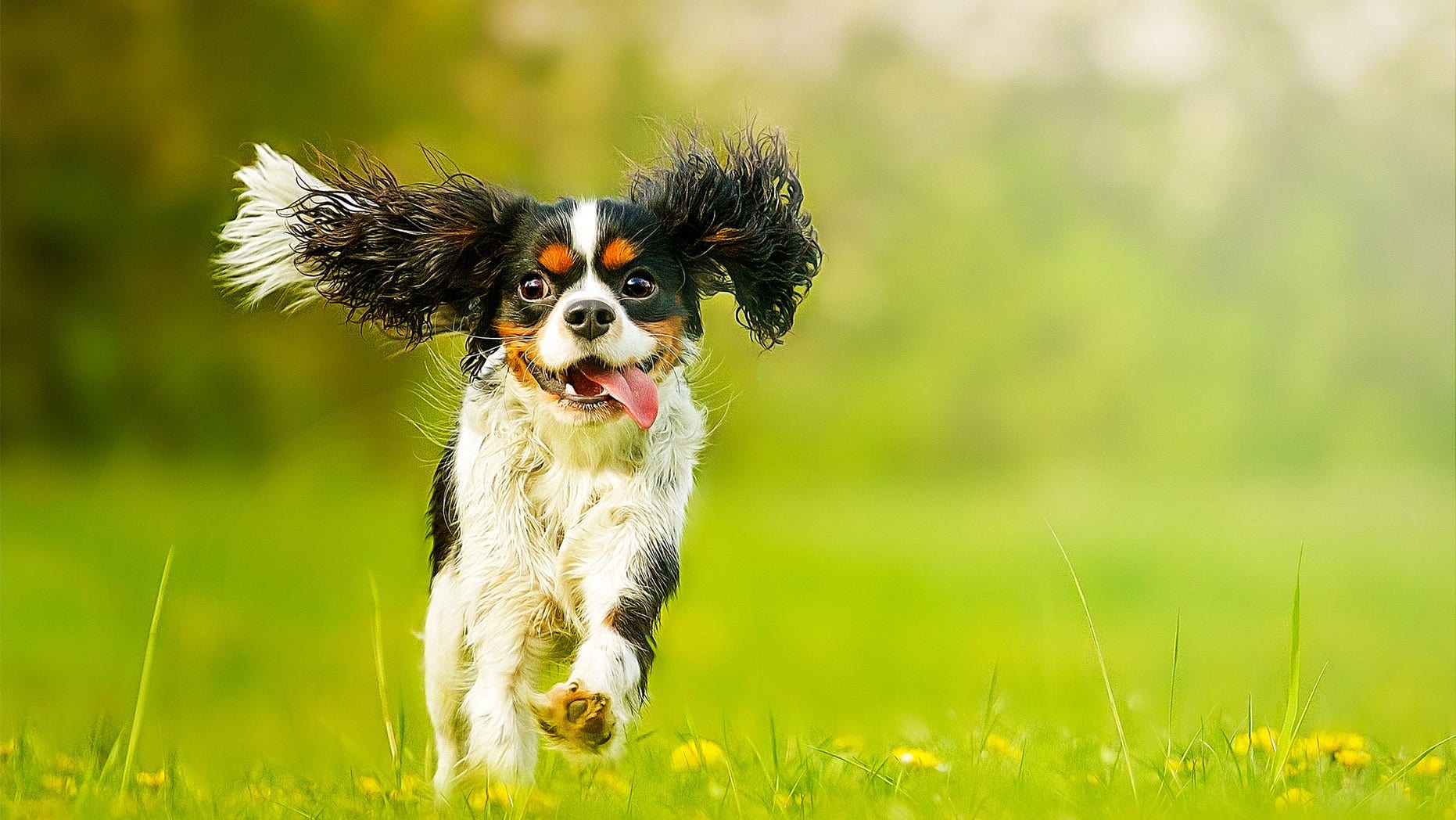 FILE -- iStock