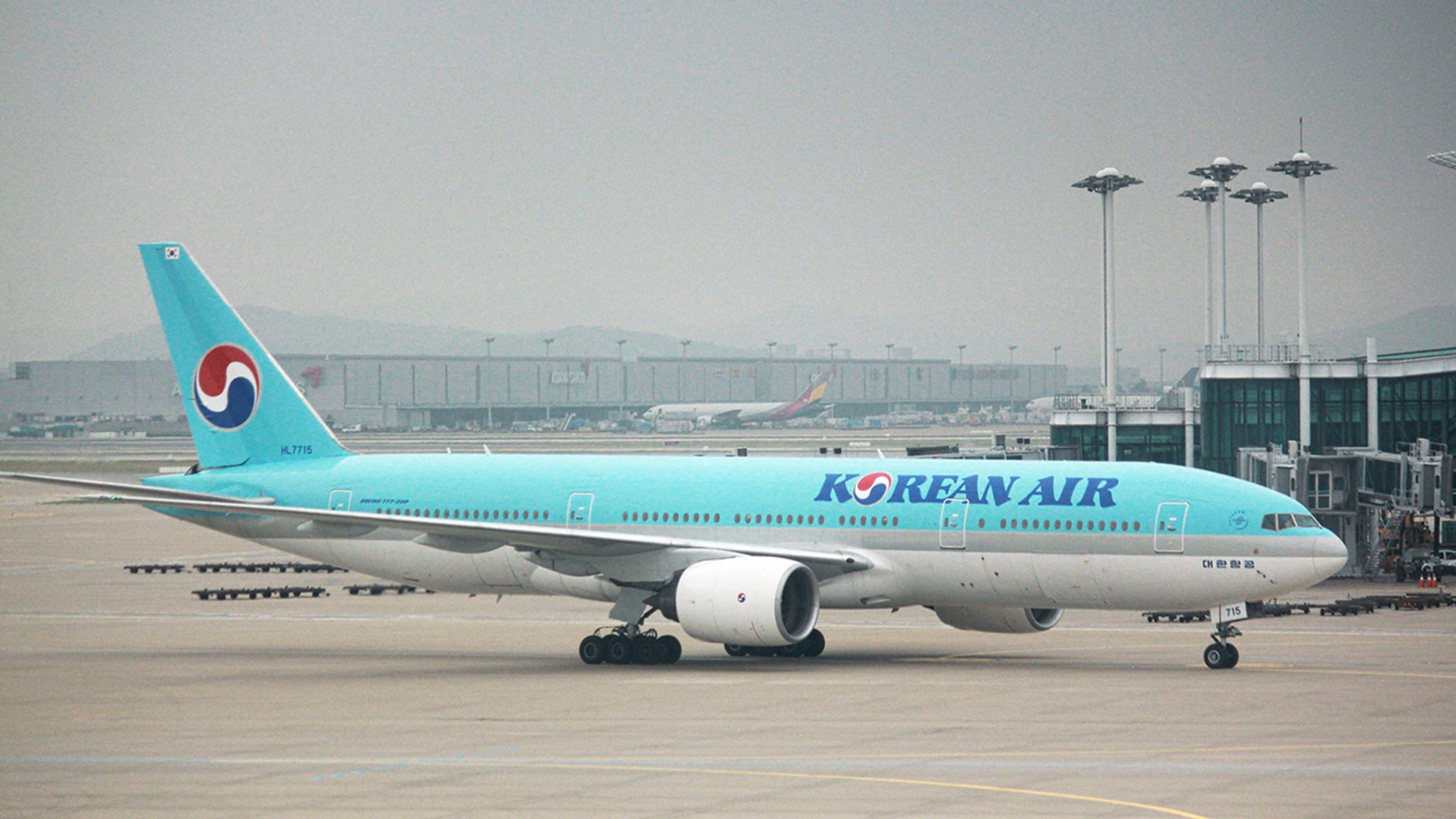 A Korean Air flight preparing to leave from Incheon Airport was reportedly delayed almost two hours because of the passenger.