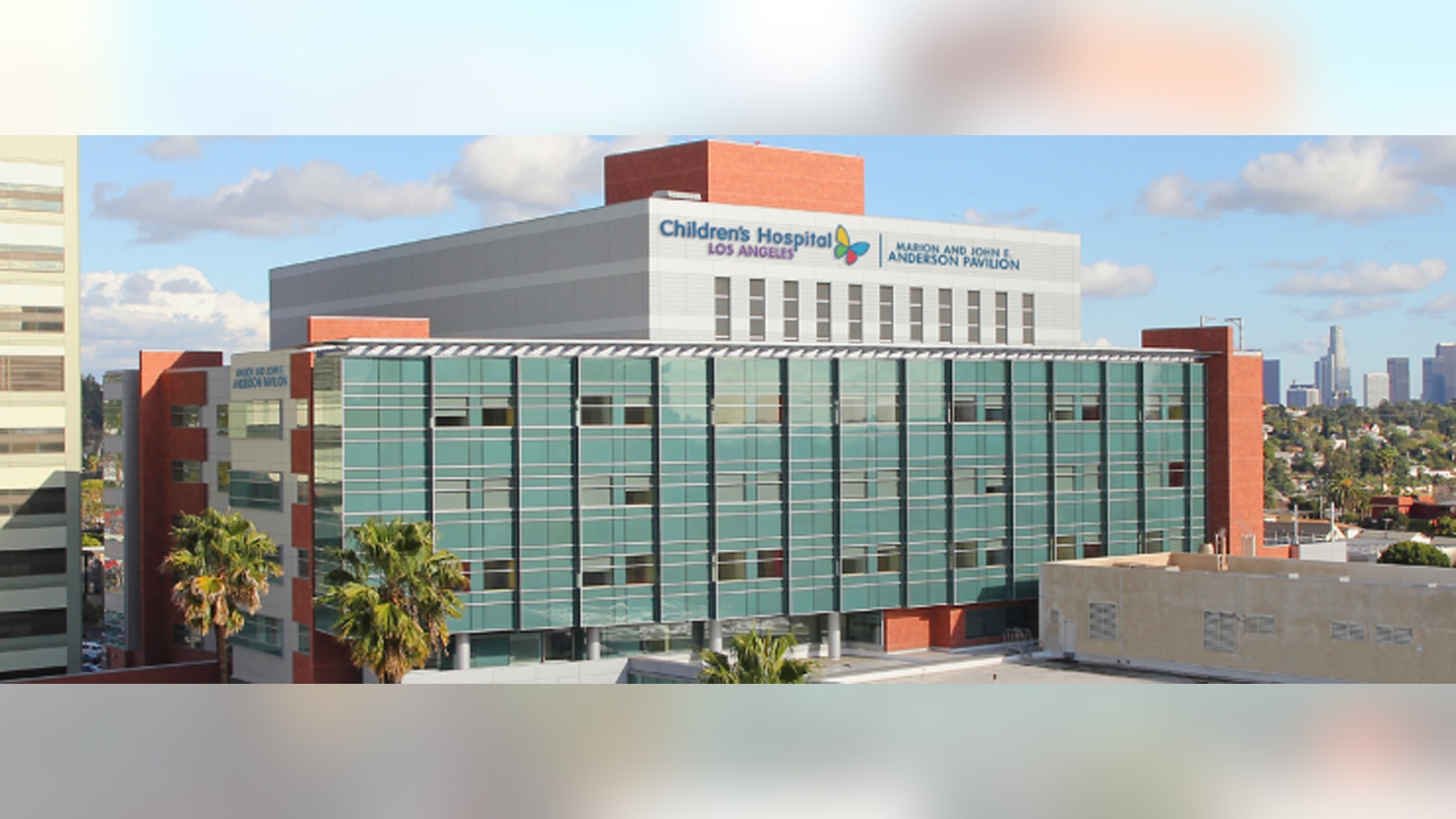 (Credit: Children's Hospital Los Angeles)