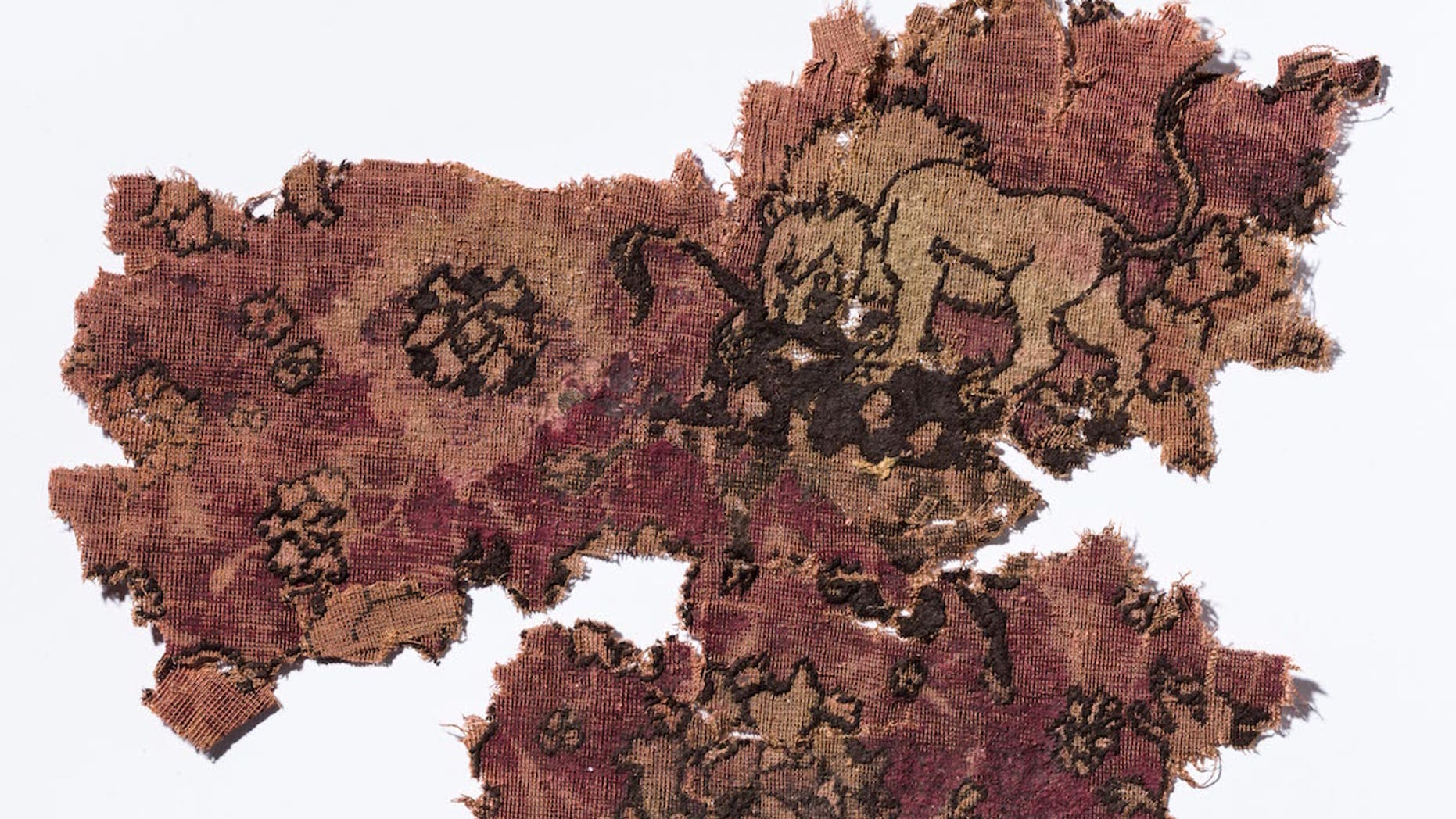 Fragments of carpet were discovered in a 17th-century shipwreck at the bottom of the sea off the coast of the Netherlands.