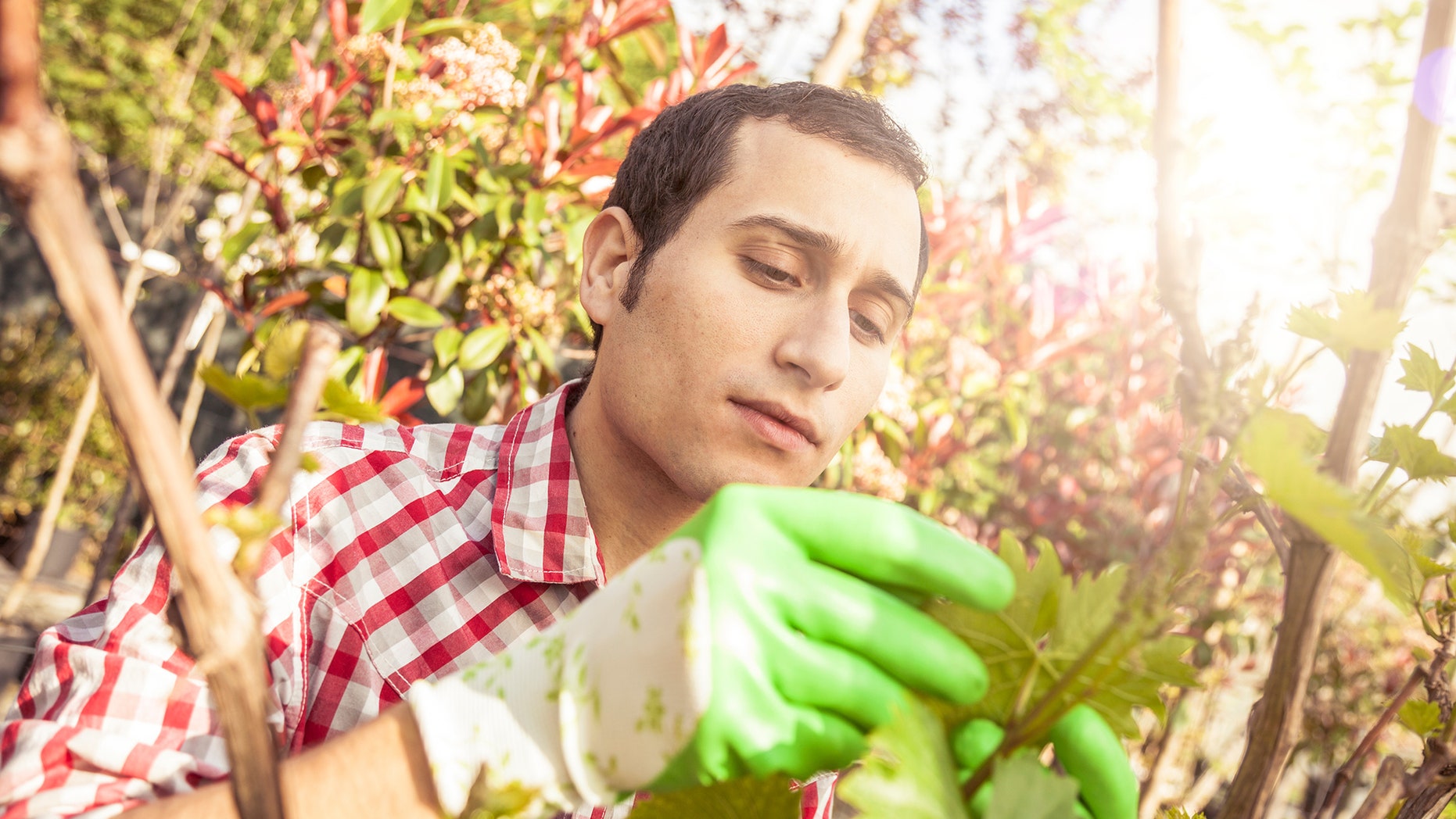 landscaper