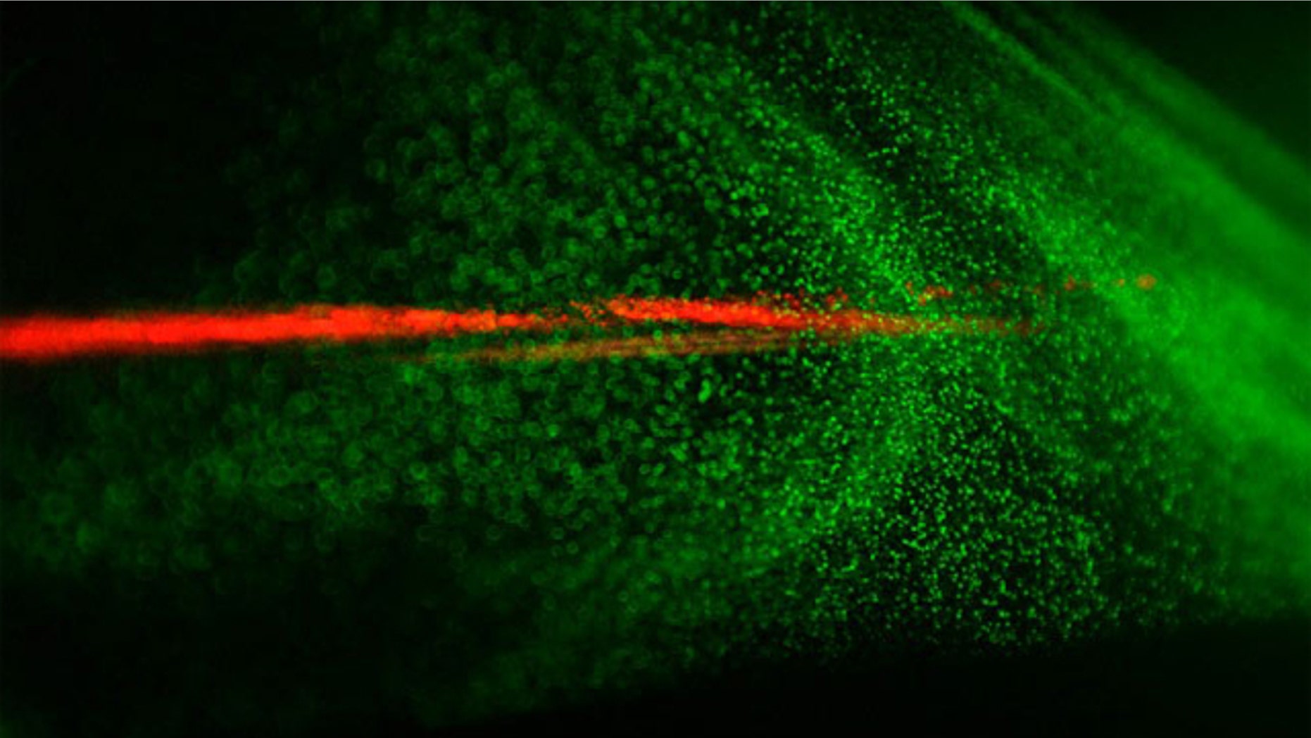 A laser beam (red) and the cloud of generated particles (illuminated by an auxiliary green laser, which makes each particle shine) in a cloud chamber.