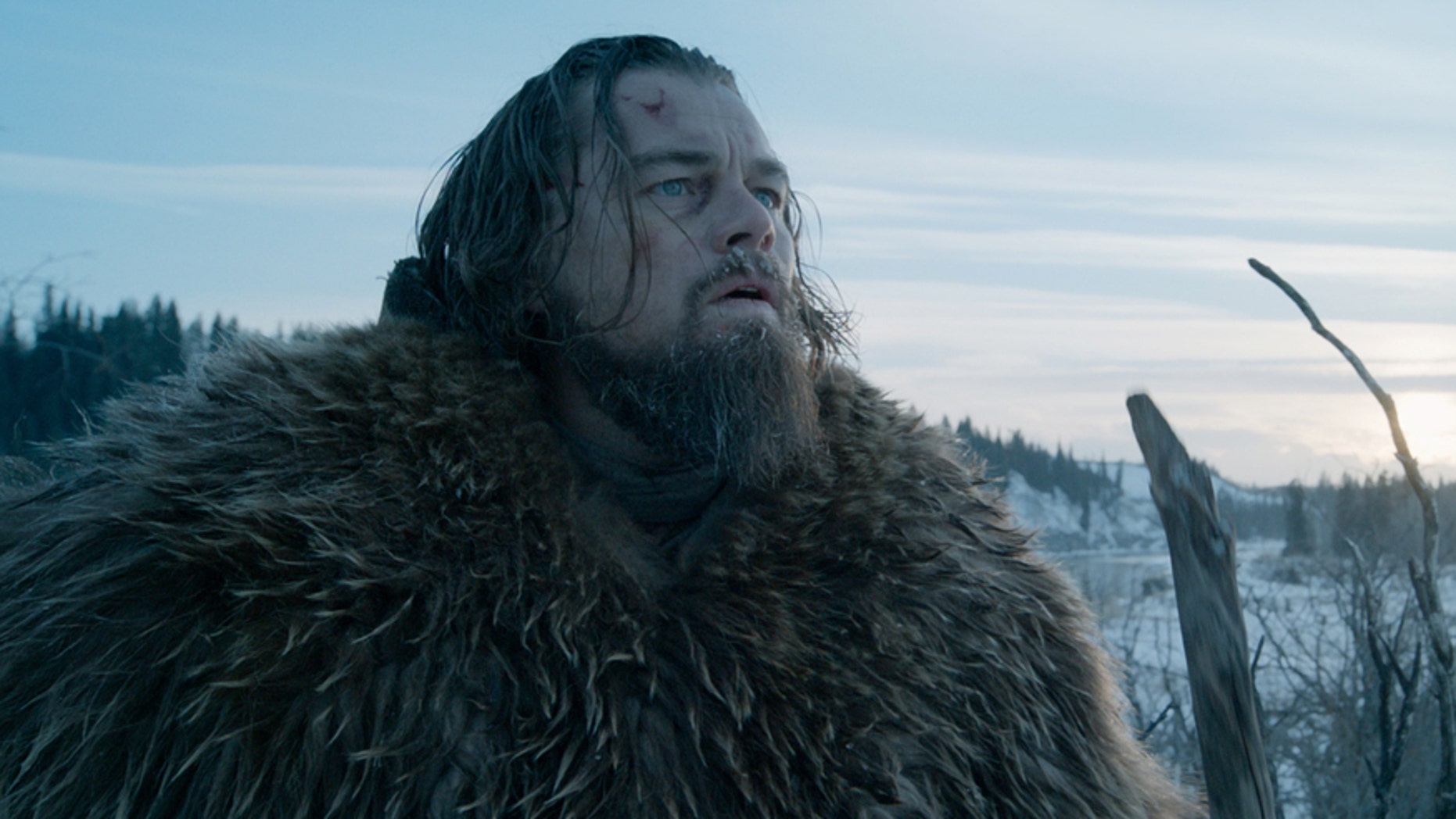 This photo provided by courtesy of Twentieth Century Fox shows, Leonardo DiCaprio as Hugh Glass, in a scene from the film, "The Revenant," directed by Alejandro Gonzalez Inarritu. The 88th annual Academy Awards nominations will be announced beginning at 5:30 a.m. PST on Thursday, Jan. 14, 2016, at the Academy of Motion Picture Arts and Sciences in Beverly Hills, Calif. The Oscars will be presented on Feb. 28, 2016, in Los Angeles. (Courtesy Twentieth Century Fox via AP)
