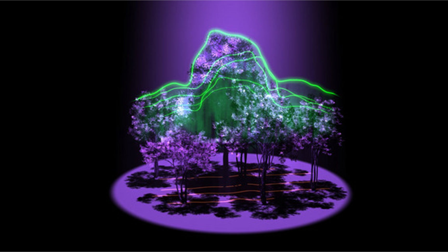 An artist's conception of the 3D maps of forest architecture that data from GEDI could produce.