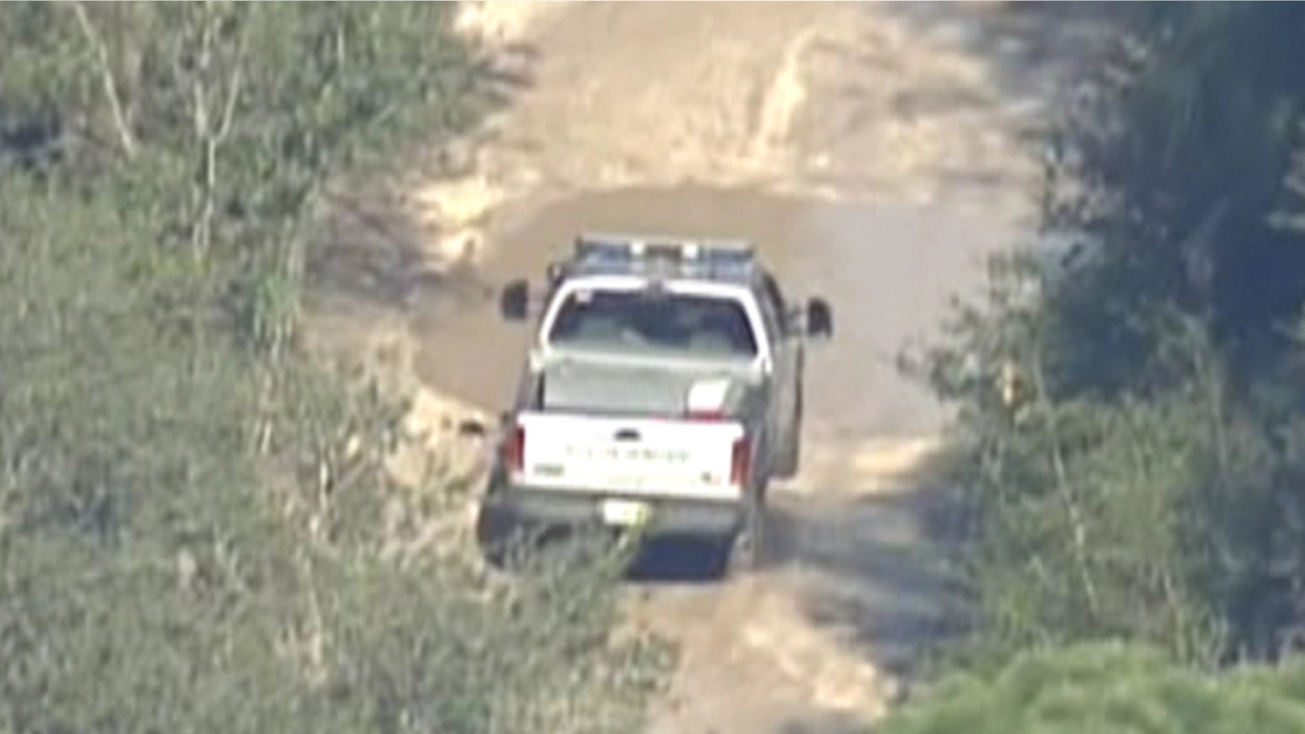 Responders reportedly search for a lion that escaped from its enclosure at the Survival Outreach Sanctuary.