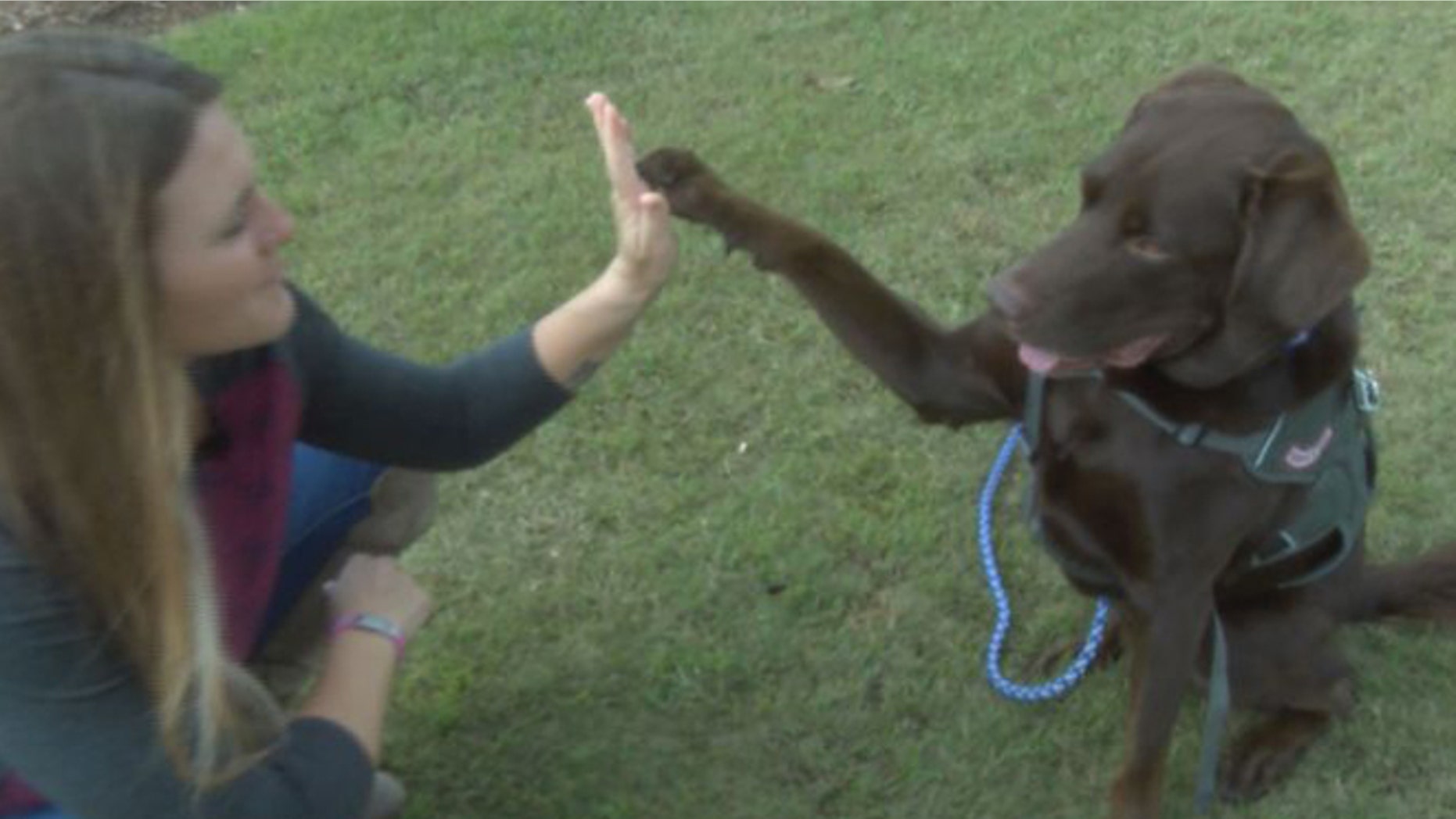 Army vet Lisa Mccombs, of Gulfort, Miss., and her service dog Jake. (WLOX-TV)