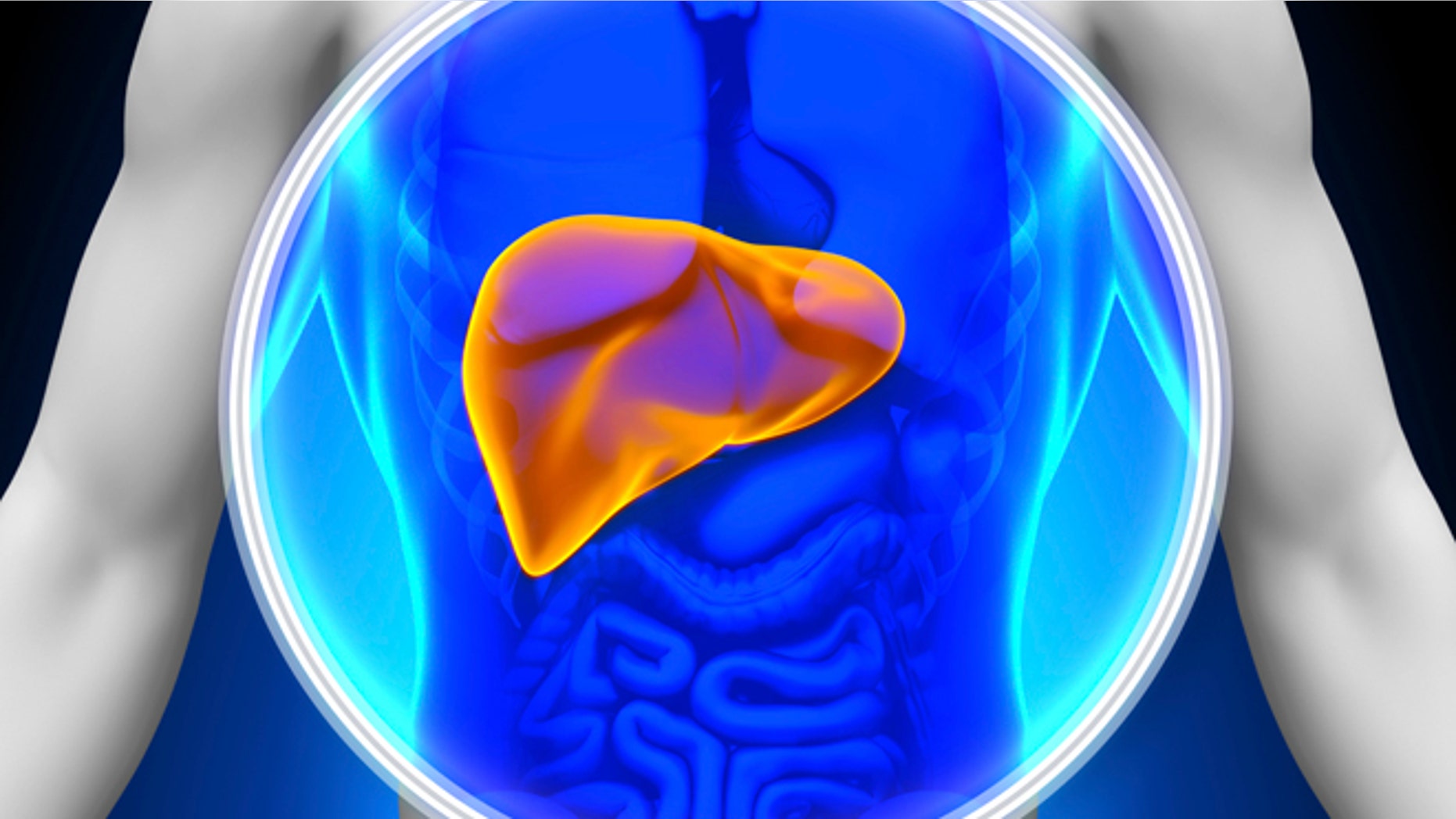 How Keeping Your Liver Healthy Can Help You Live Longer Fox News how-keeping-your-liver-healthy-can-help-you-live-longer-fox-news