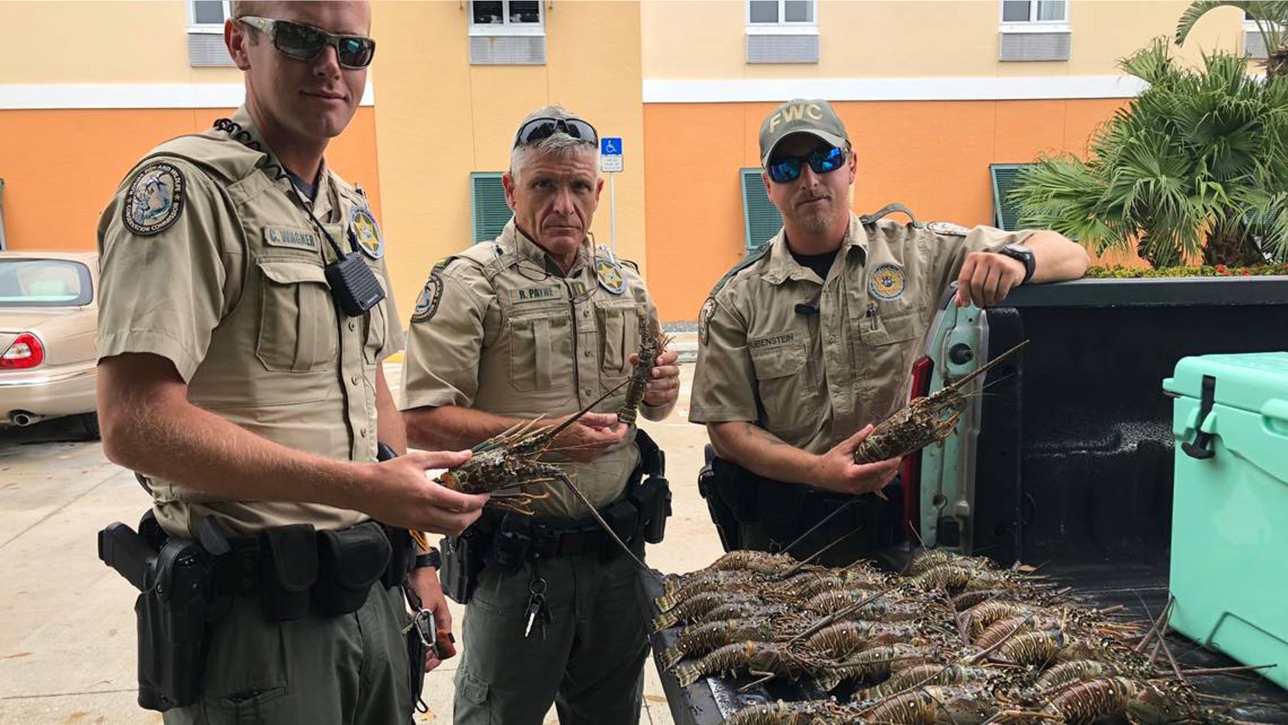 Two Florida men were caught with illegally obtained lobsters in their truck and hotel room.