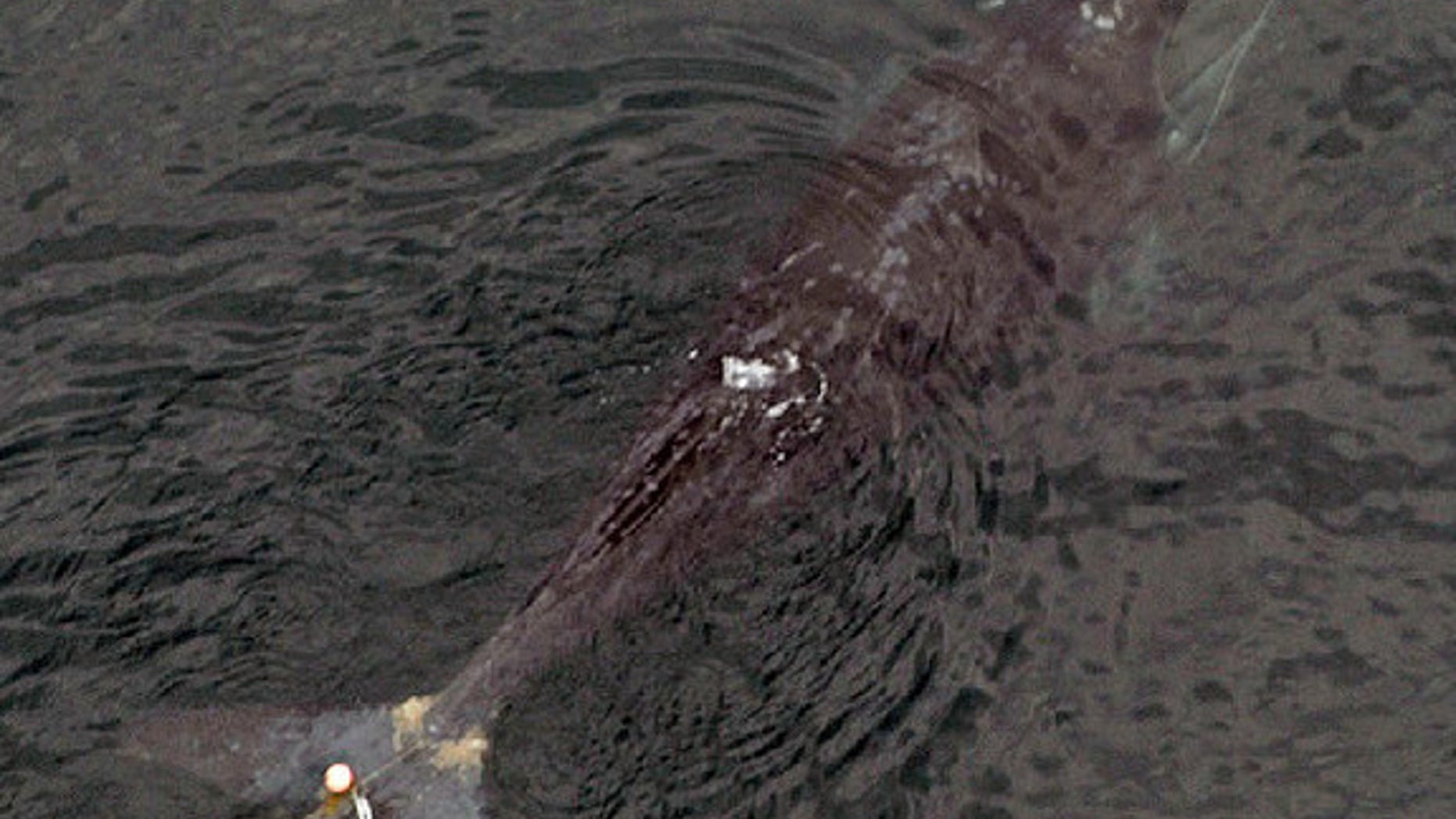 A 1-year-old female right whale was spotted in July 2002 near Nova Scotia with lobster gear caught just above her flukes. After she was later found dead, an investigation concluded that a deep laceration by the gear had killed her.