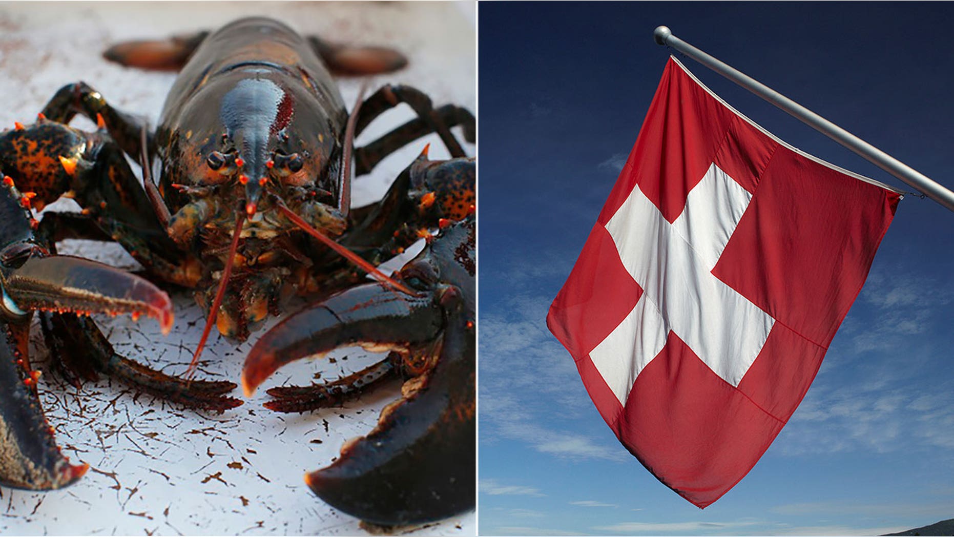 The Swiss government ruled that lobsters cannot be thrown into boiling water while alive.