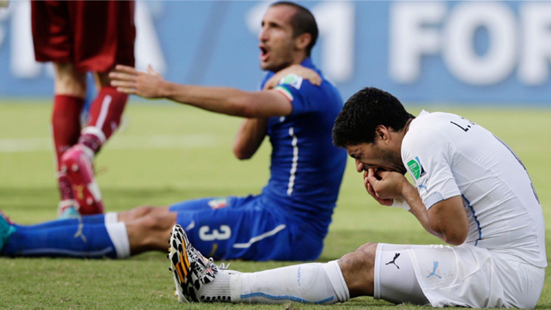 June 24, 2014: Italy's Giorgio Chiellini complains after Uruguay's Luis Suarez ran into his shoulder with his teeth during the group D World Cup soccer match between Italy and Uruguay at the Arena das Dunas in Natal, Brazil.