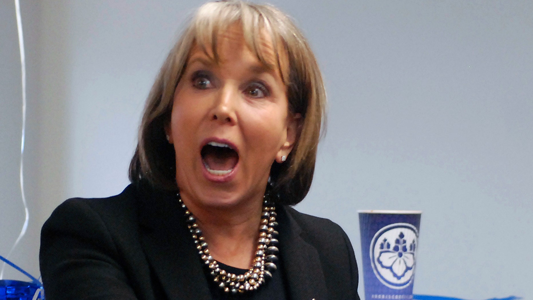 Democrats Nominate Rep. Lujan Grisham For New Mexico Gov | Fox News