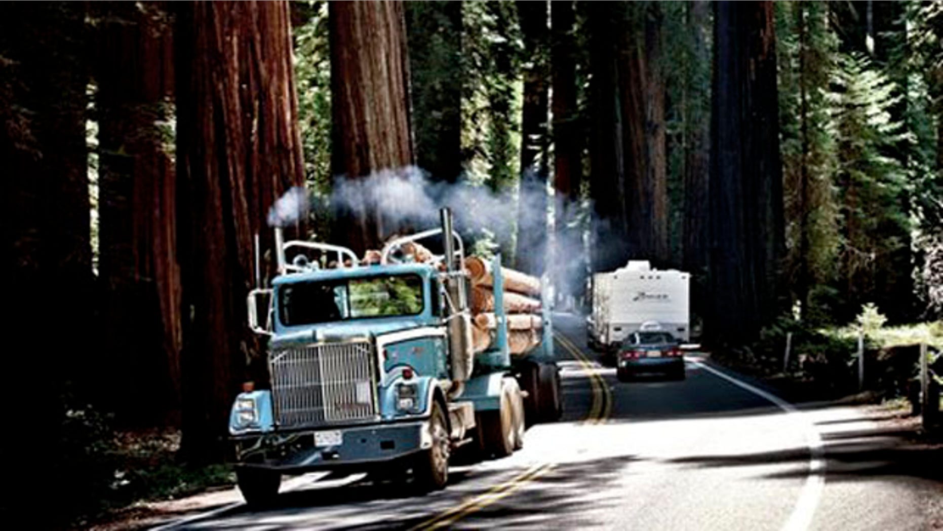 A lumber truck makes its way through the woods with freshly cut timber.
