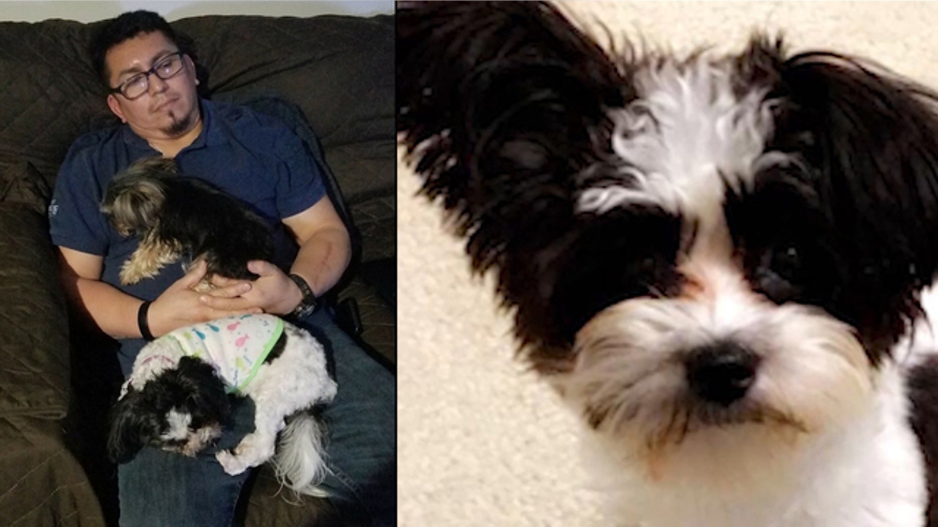 Jose Castellon, a retired Navy veteran, was involved in a car accident on Sunday. His therapy dog Luna bolted from the scene as crews worked to extract him from the vehicle.