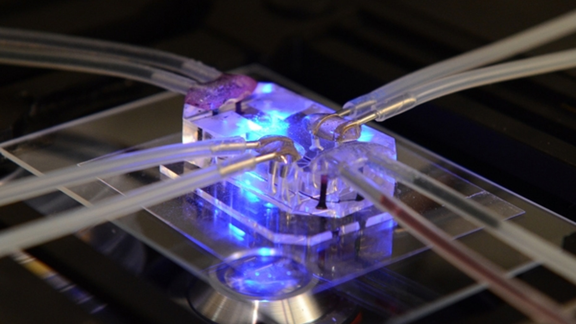 This plastic device, which is about the size of a flash drive, mimics the function and one of the illnesses of a human lung. (Courtesy Wyss Institute, Harvard University)