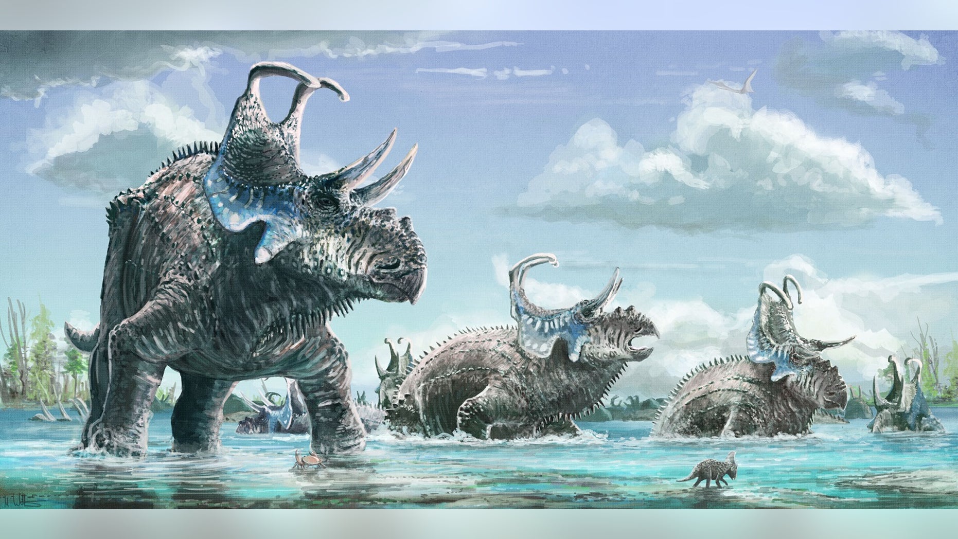 An artist’s reconstruction featuring Machairoceratops cronusi, a new species of horned dinosaur from the Late Cretaceous. (Mark Witton)