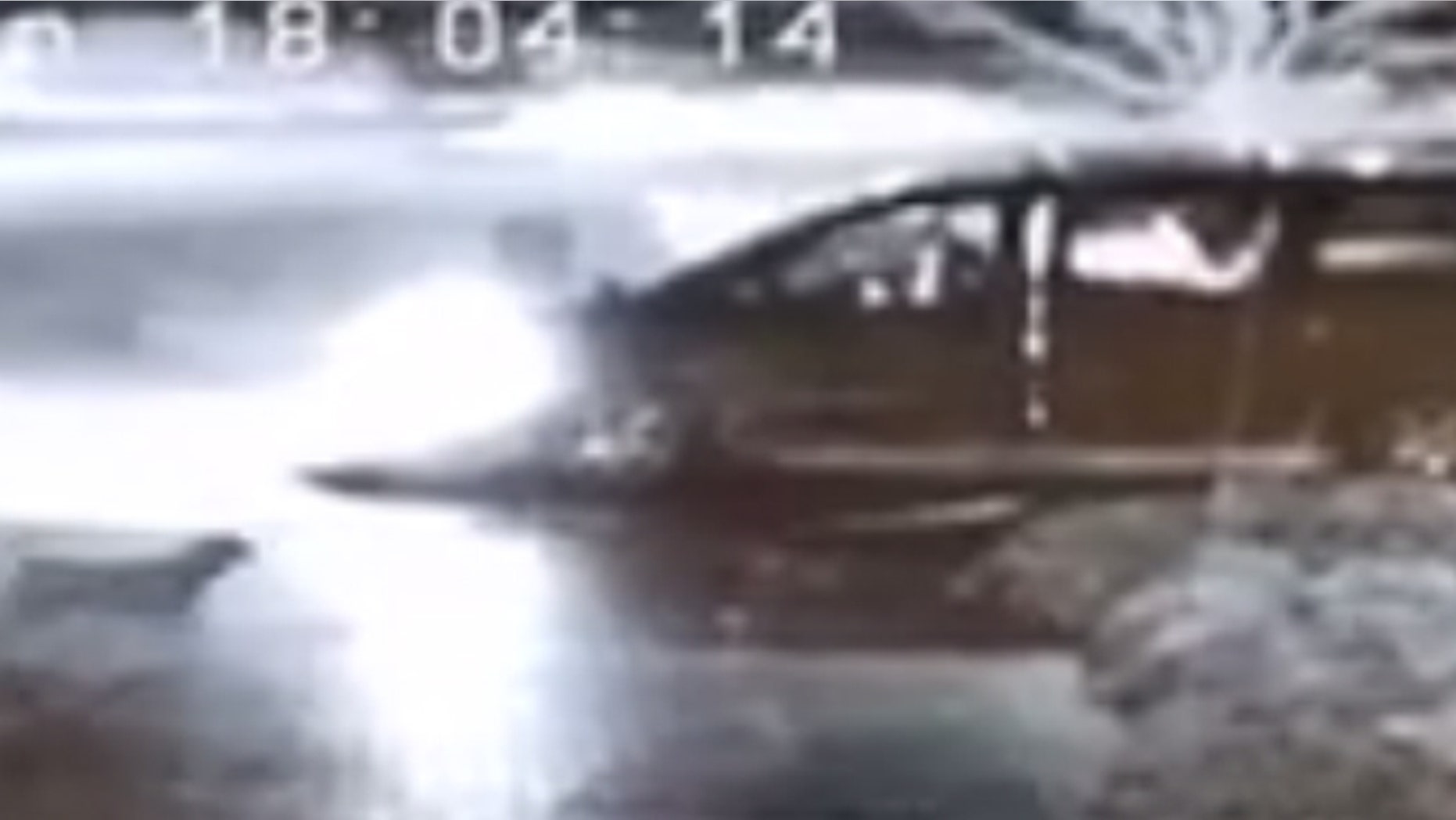 Video screen shot of dog abandoned outside Maine shelter Monday.