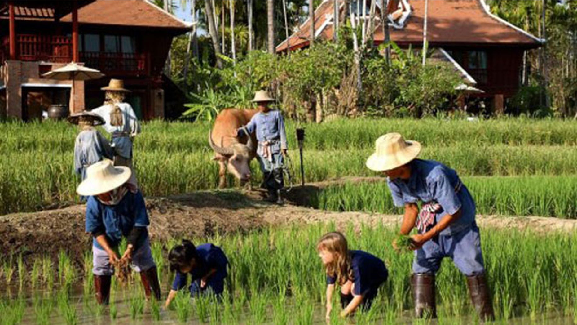 The kids' club at 2013 Gold List property, Chiang Mai's Mandarin Oriental Dhara Dhevi ups its game (and puts other clubs to shame) with activities like rice planting, water buffalo riding, and muay thai (kickboxing).