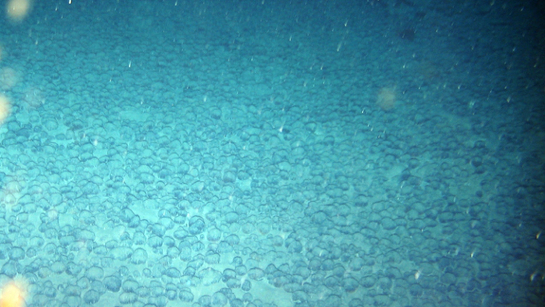 Manganese nodules found in the tropical Atlantic Ocean.
