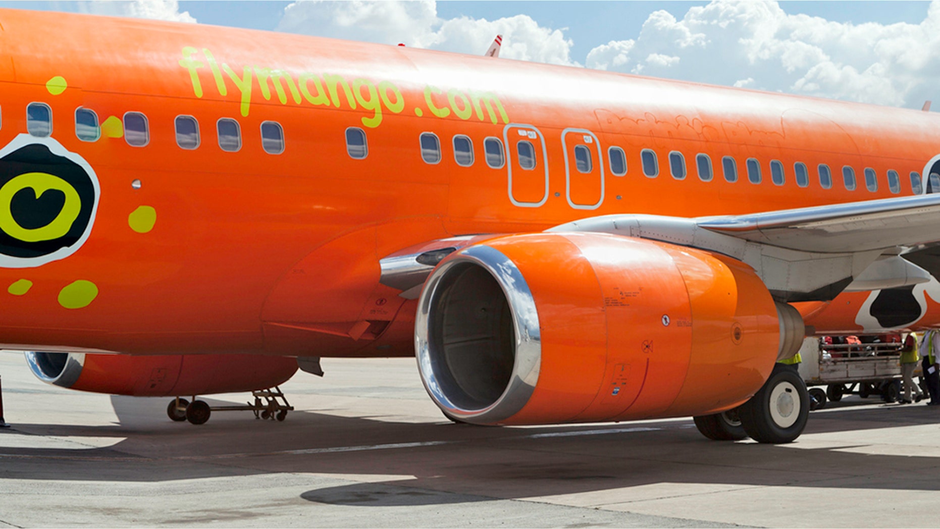 Mango Airlines confirmed that two beekeepers were called to the scene to safely remove the swarm.