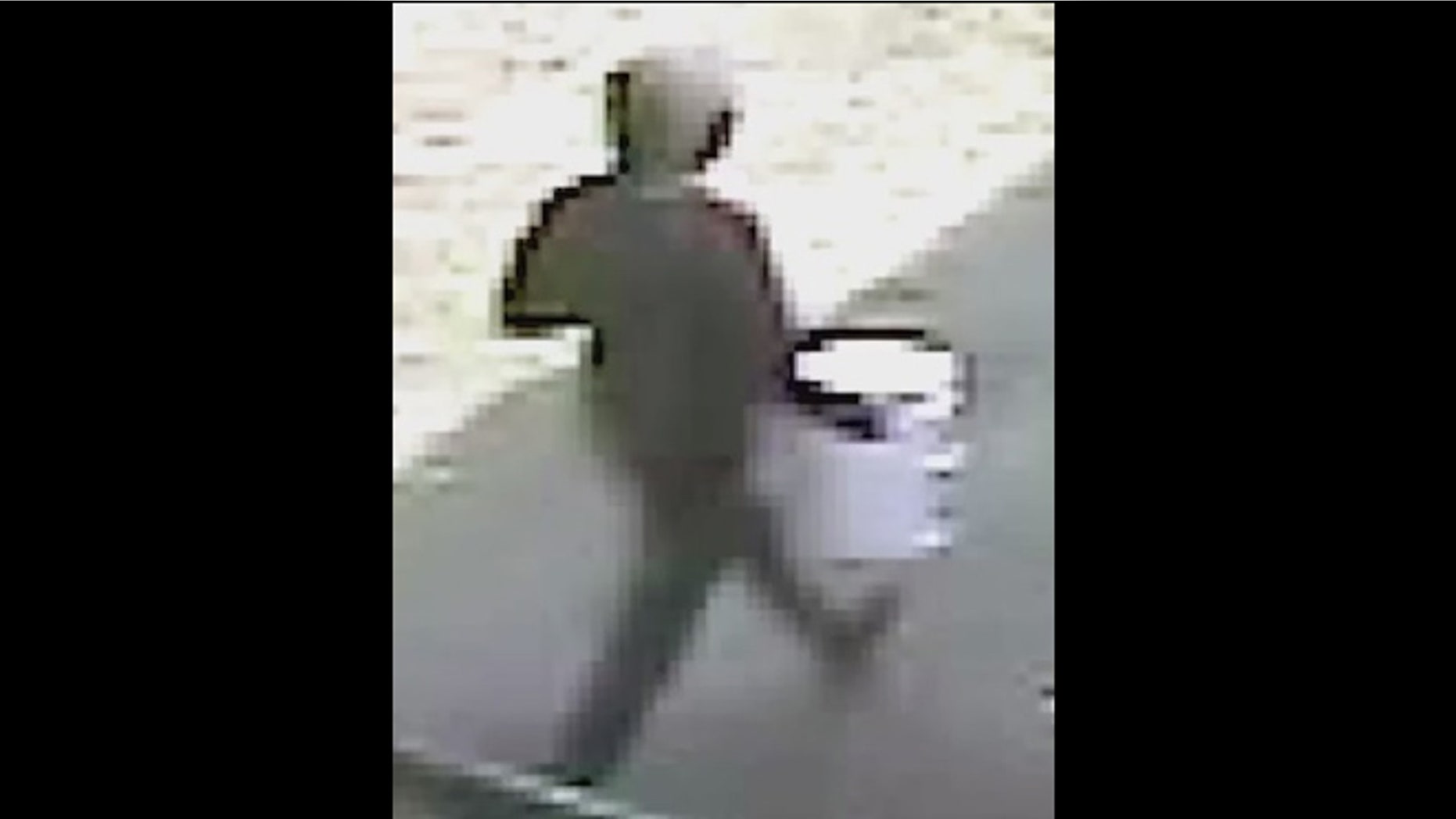 Police released a video Saturday of a person of interest in a quadruple homicide at a mansion in Washington, D.C.