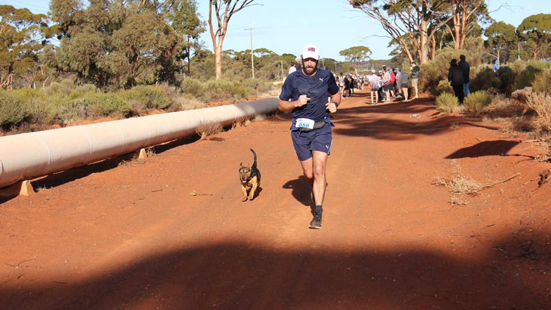 A stray dog named Stormy recently decided to jump in on a half-marathon in Australia, earning himself a medal.