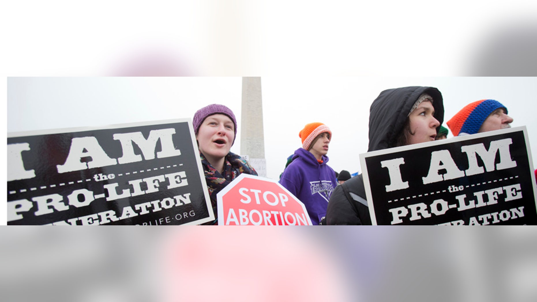 Demonstrators take part in the 2016 March for Life