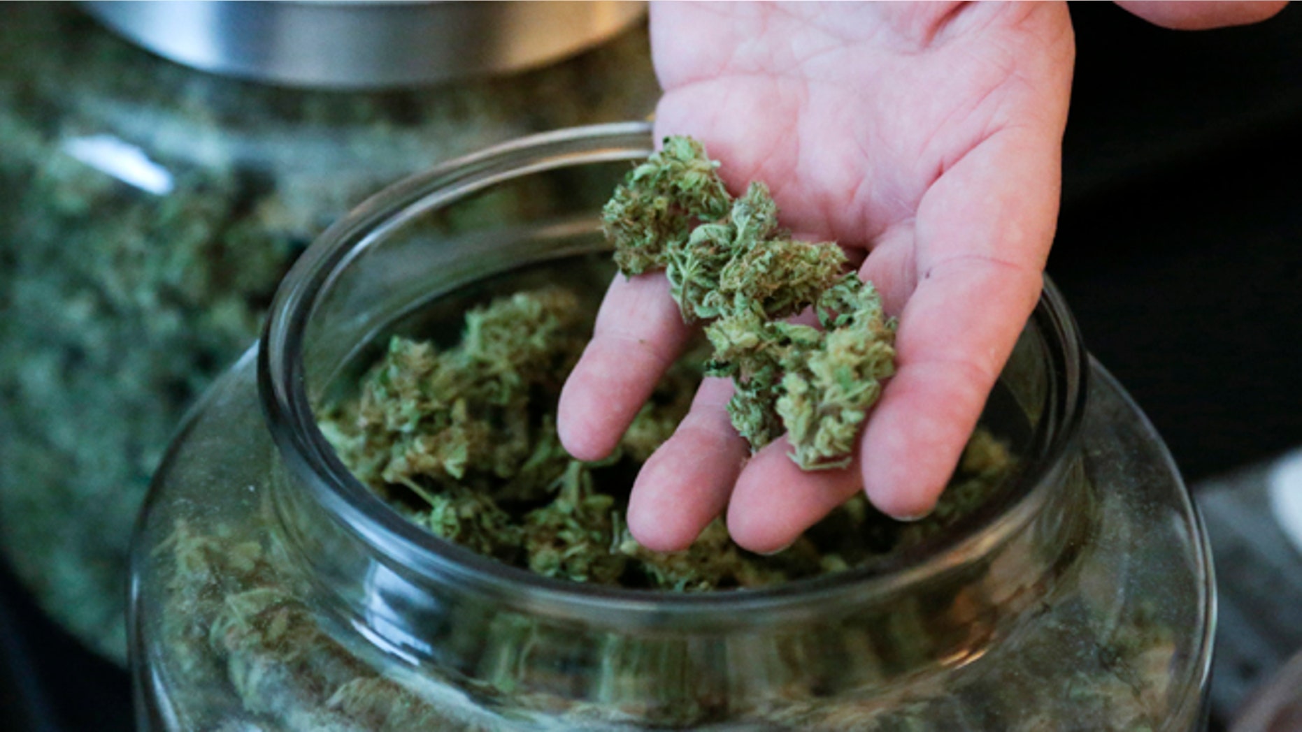 This June 30, 2014 photo is of marijuana produced in Seattle, Washington.