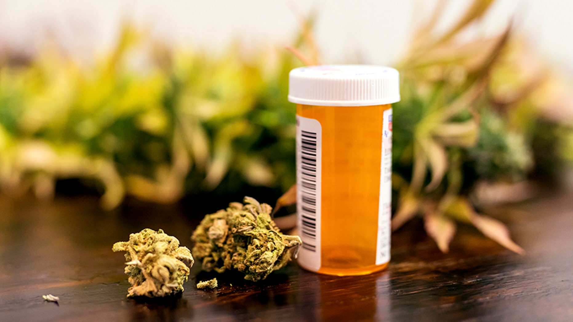 Marijuana buds sitting next to prescription medicine bottle